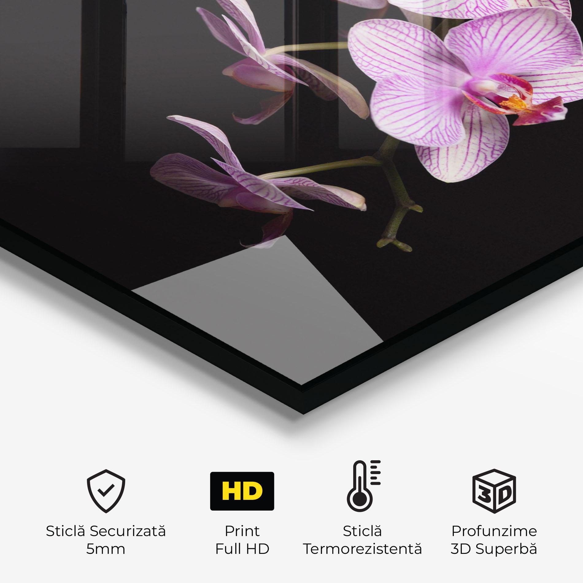 Panou Sticla Bucatarie Beautiful Orchids On Black mockup 2