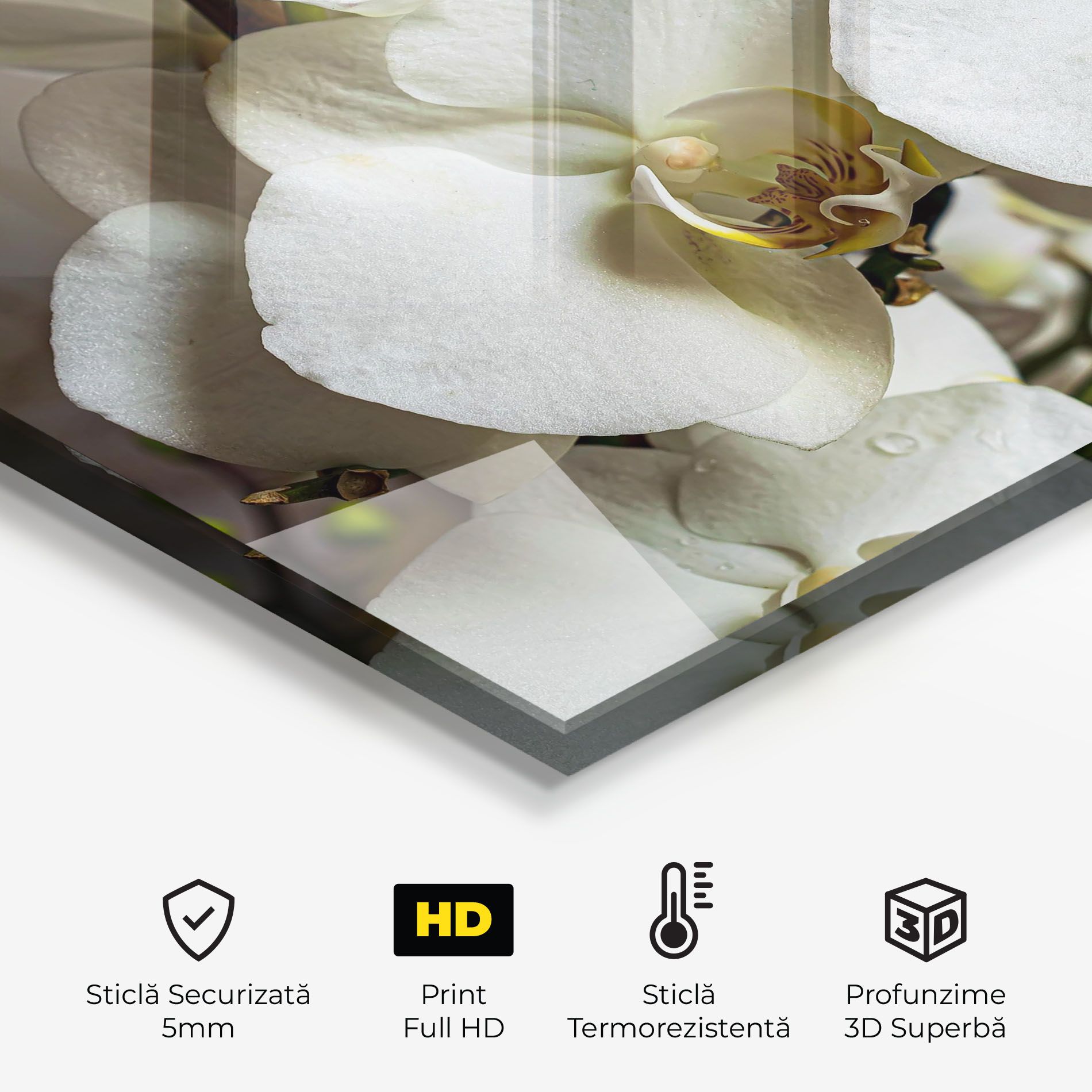 Beautiful White Orchids mockup 2