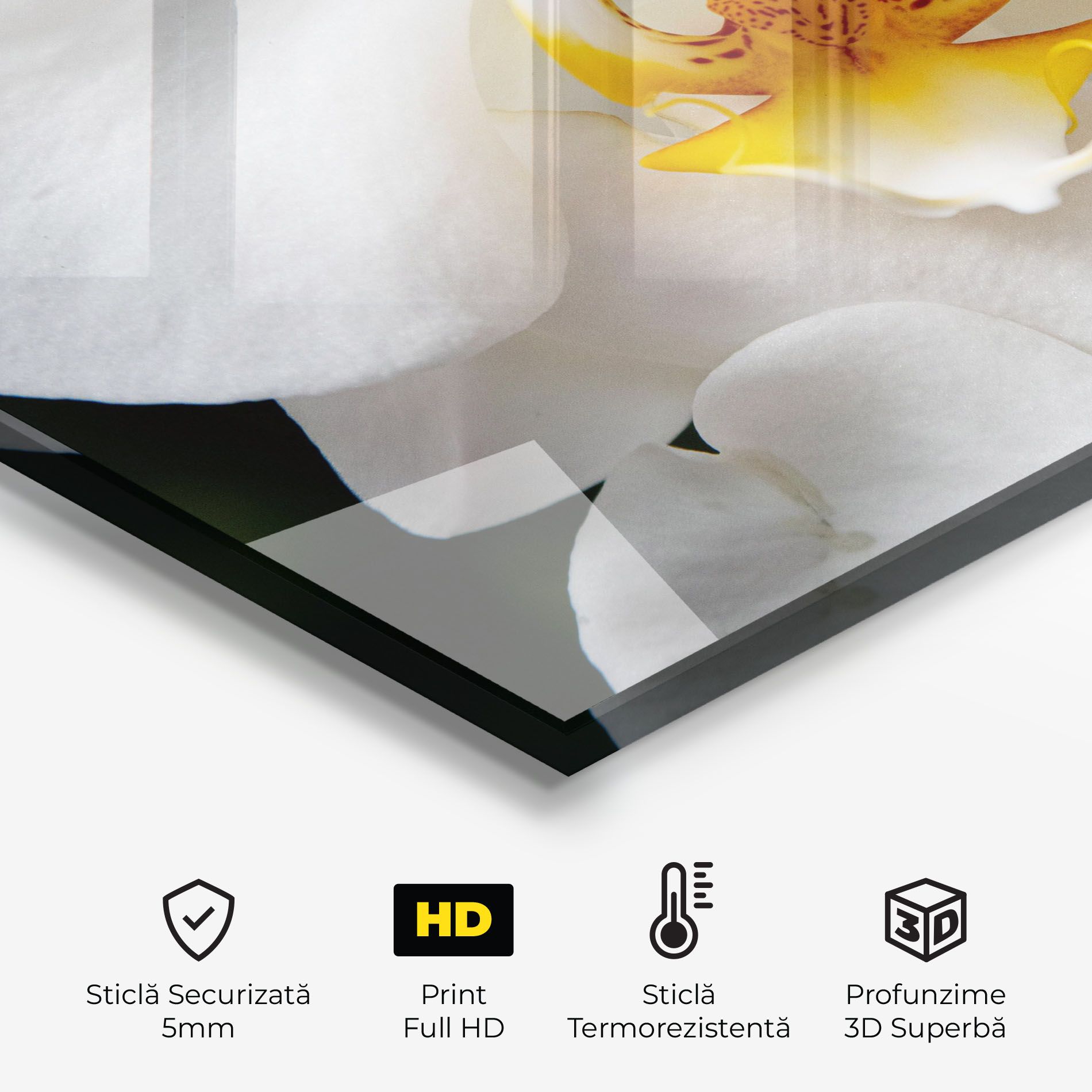 Big Orchid Close Up mockup 2