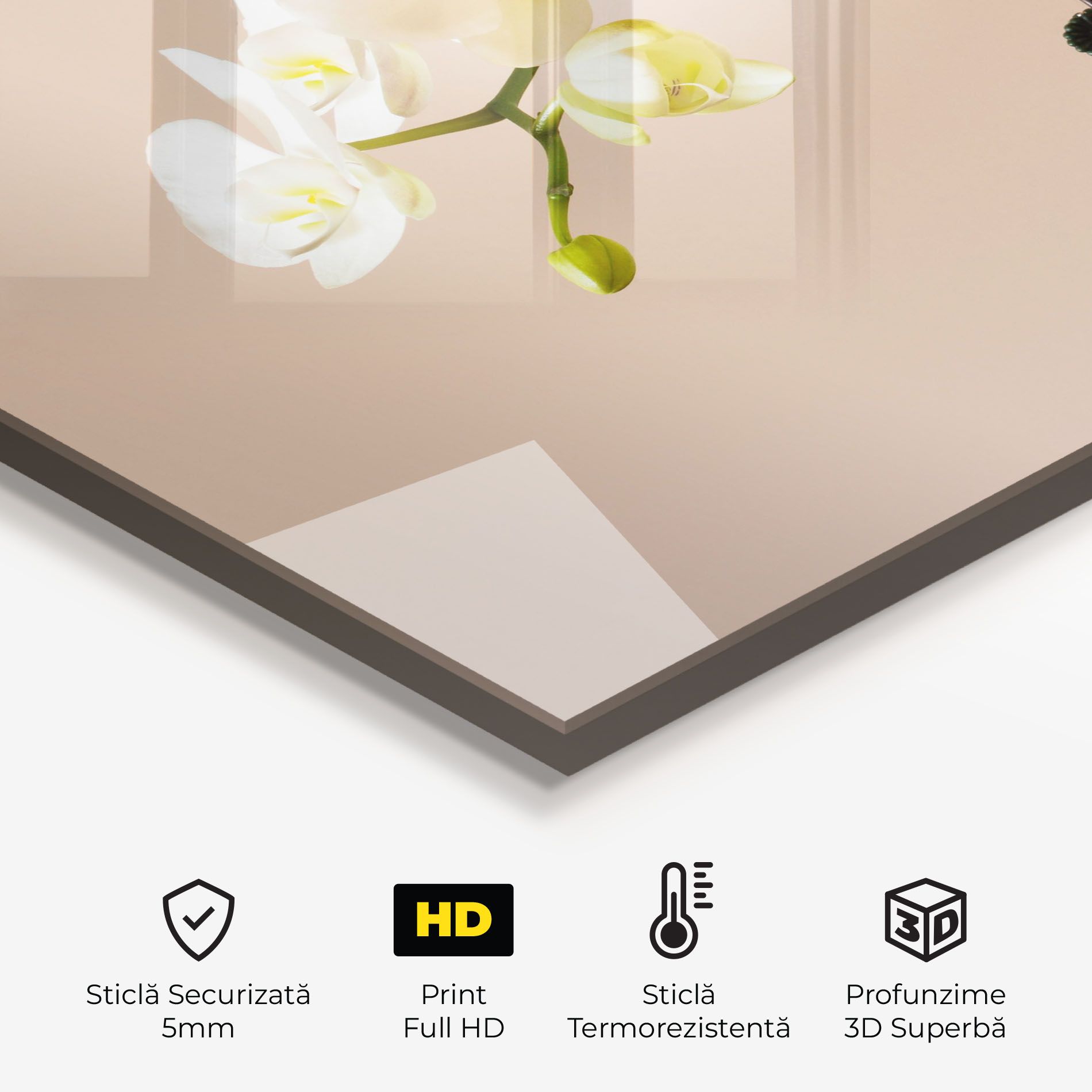 Cream Orchid On Pink mockup 2