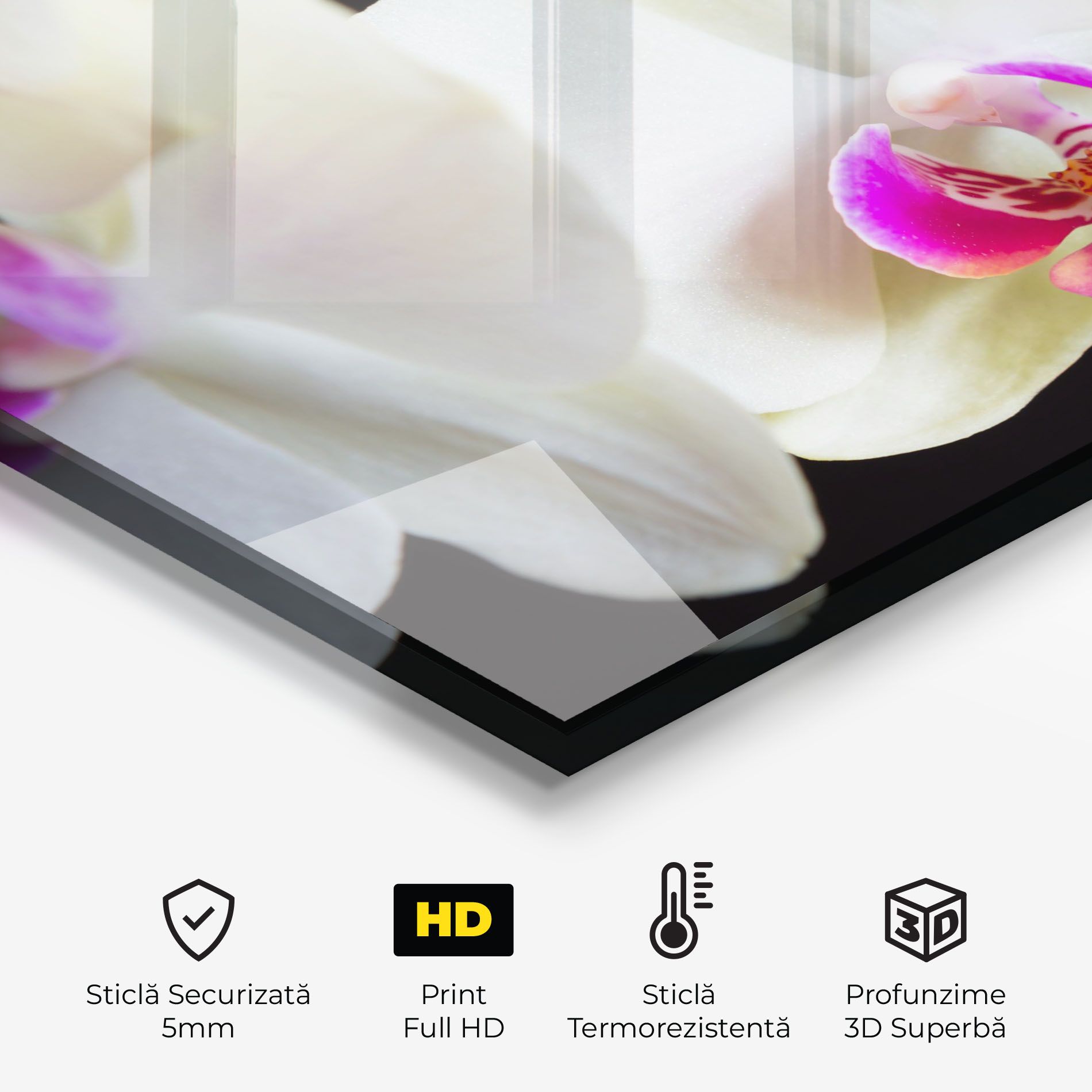 Cream Purple Orchids mockup 2