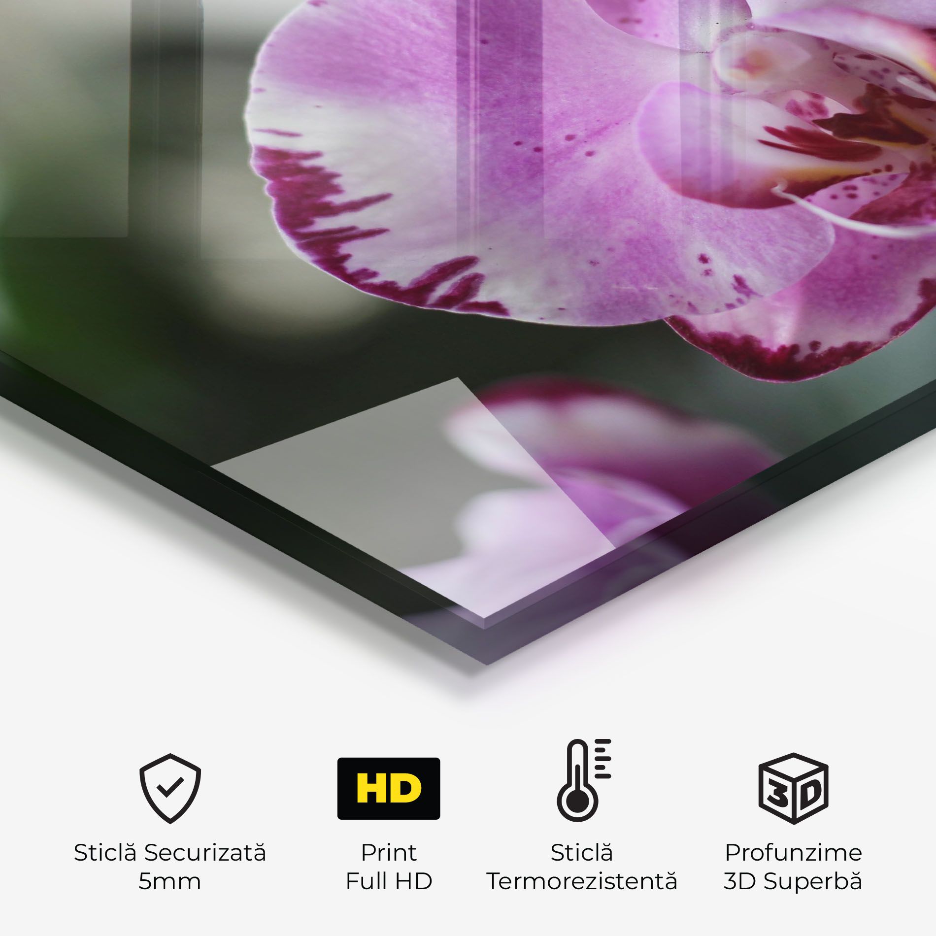 Dark Purple Orchids In Nature mockup 2