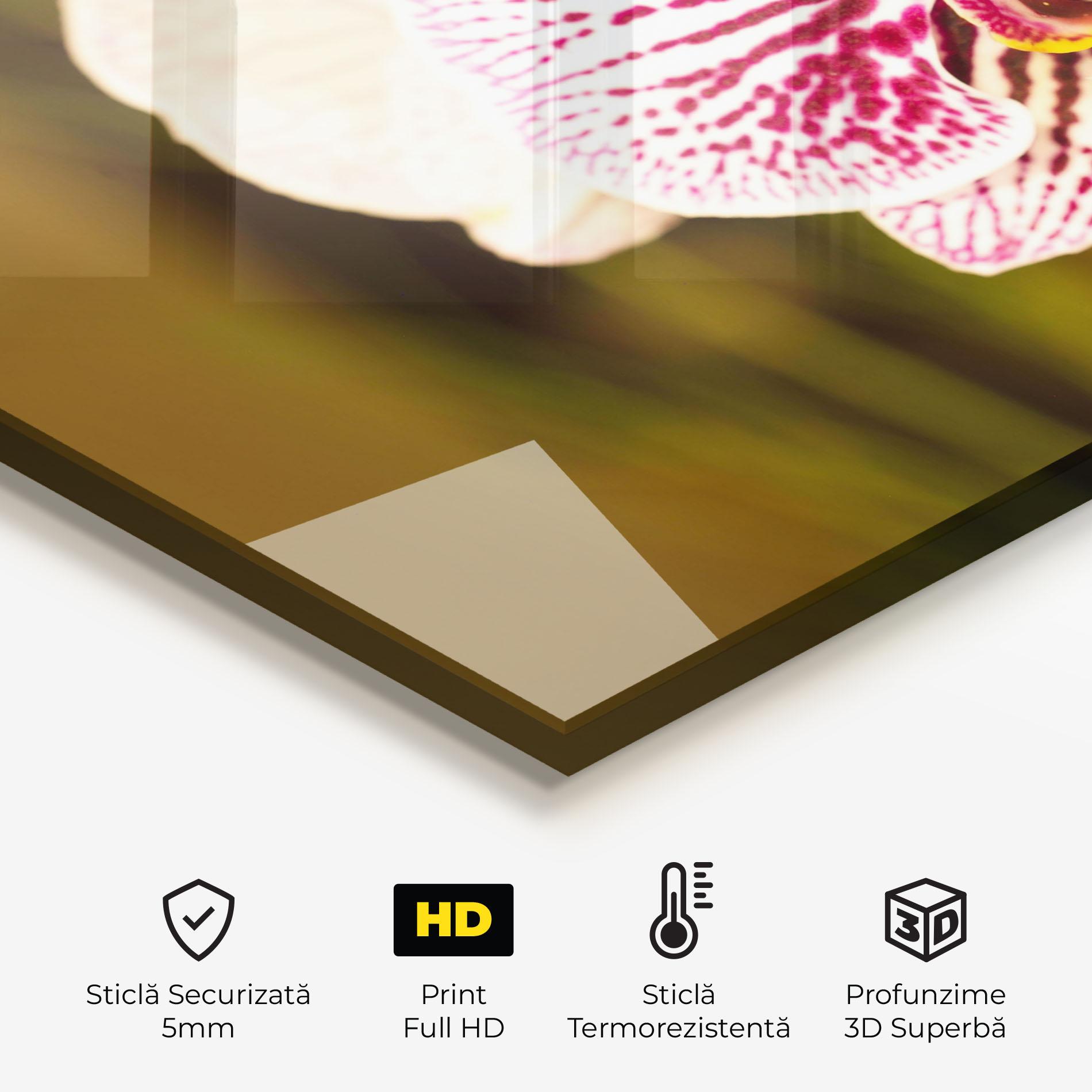 Panou Sticla Bucatarie Garden Orchids mockup 2