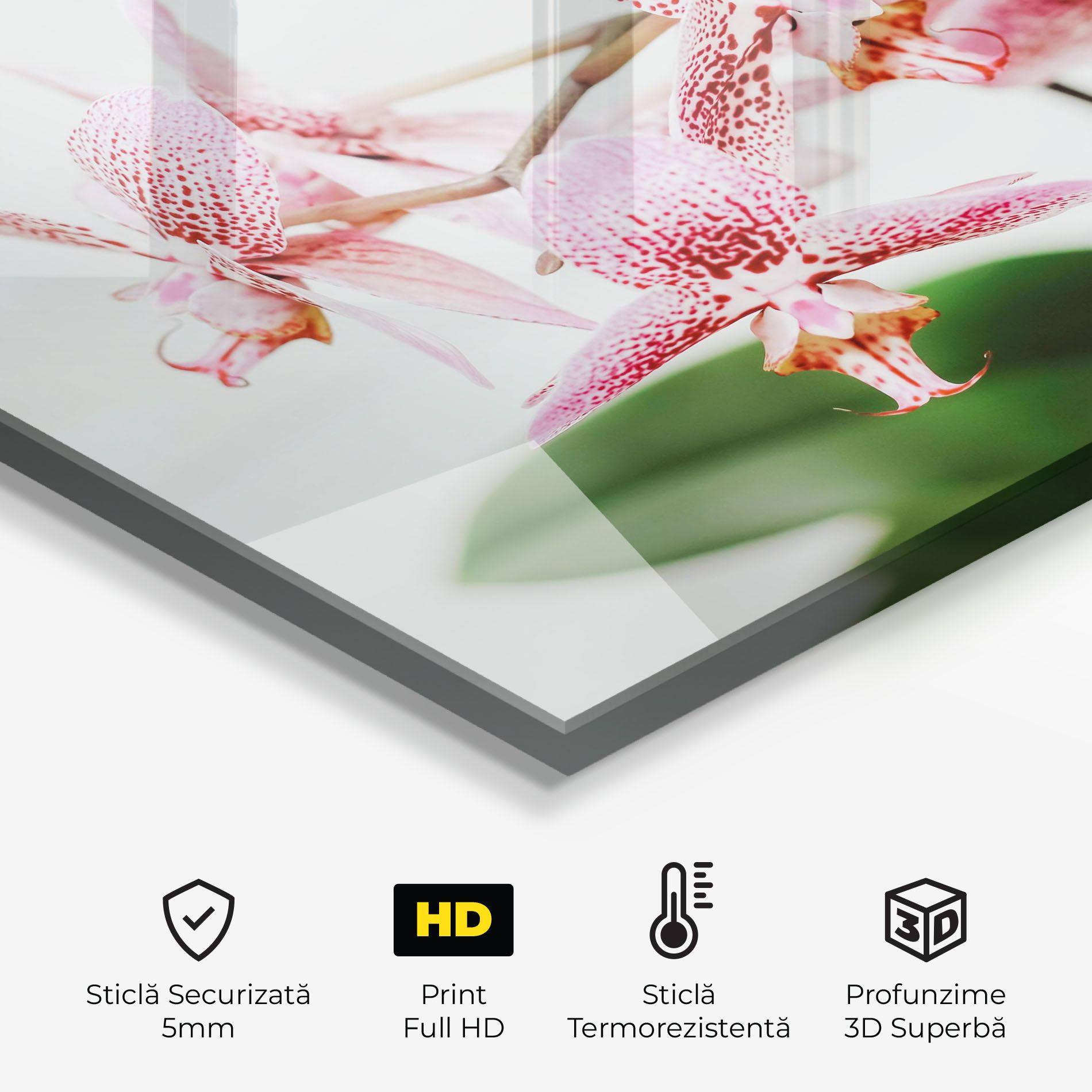 Green Orchids mockup 2