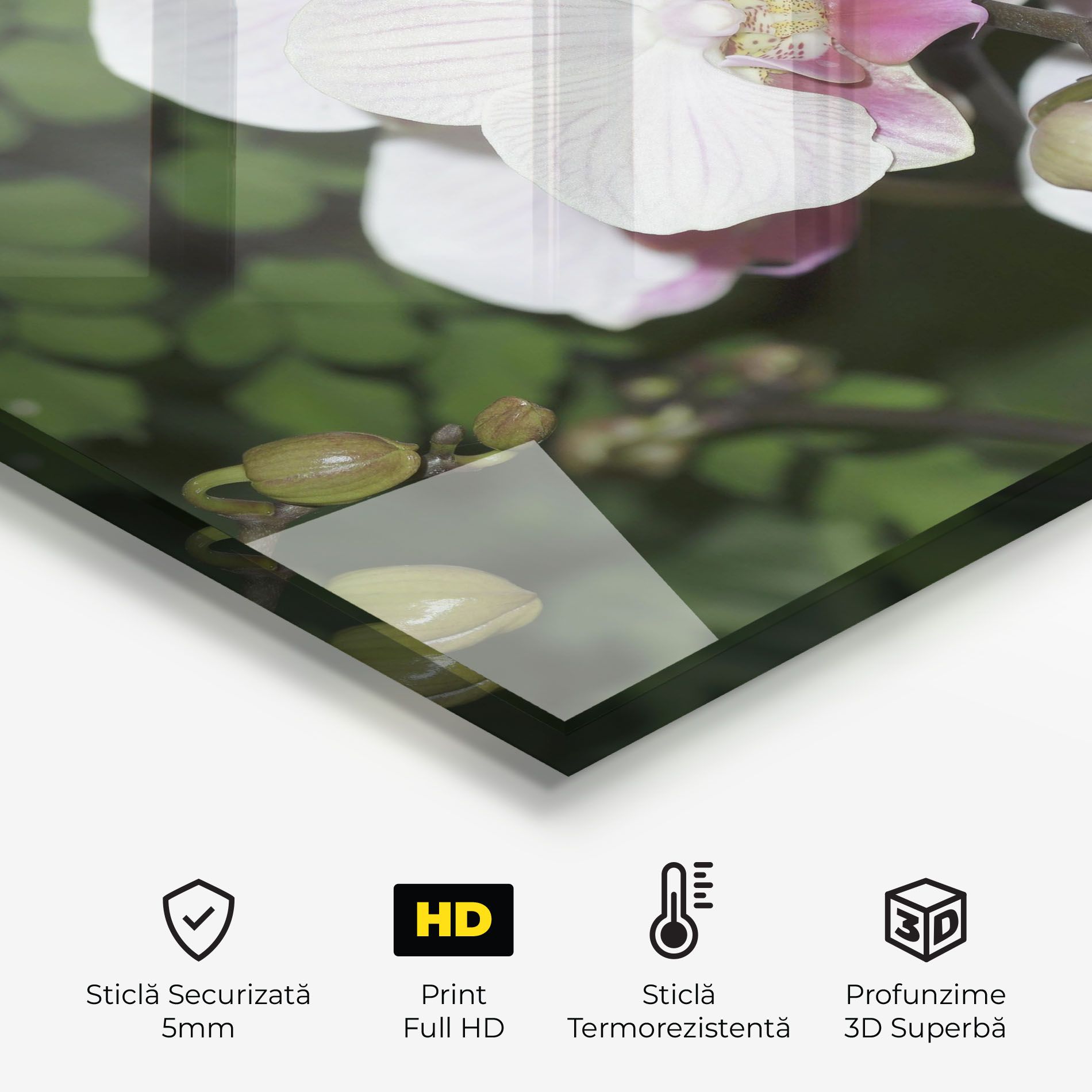 Orchid Botanical Garden mockup 2