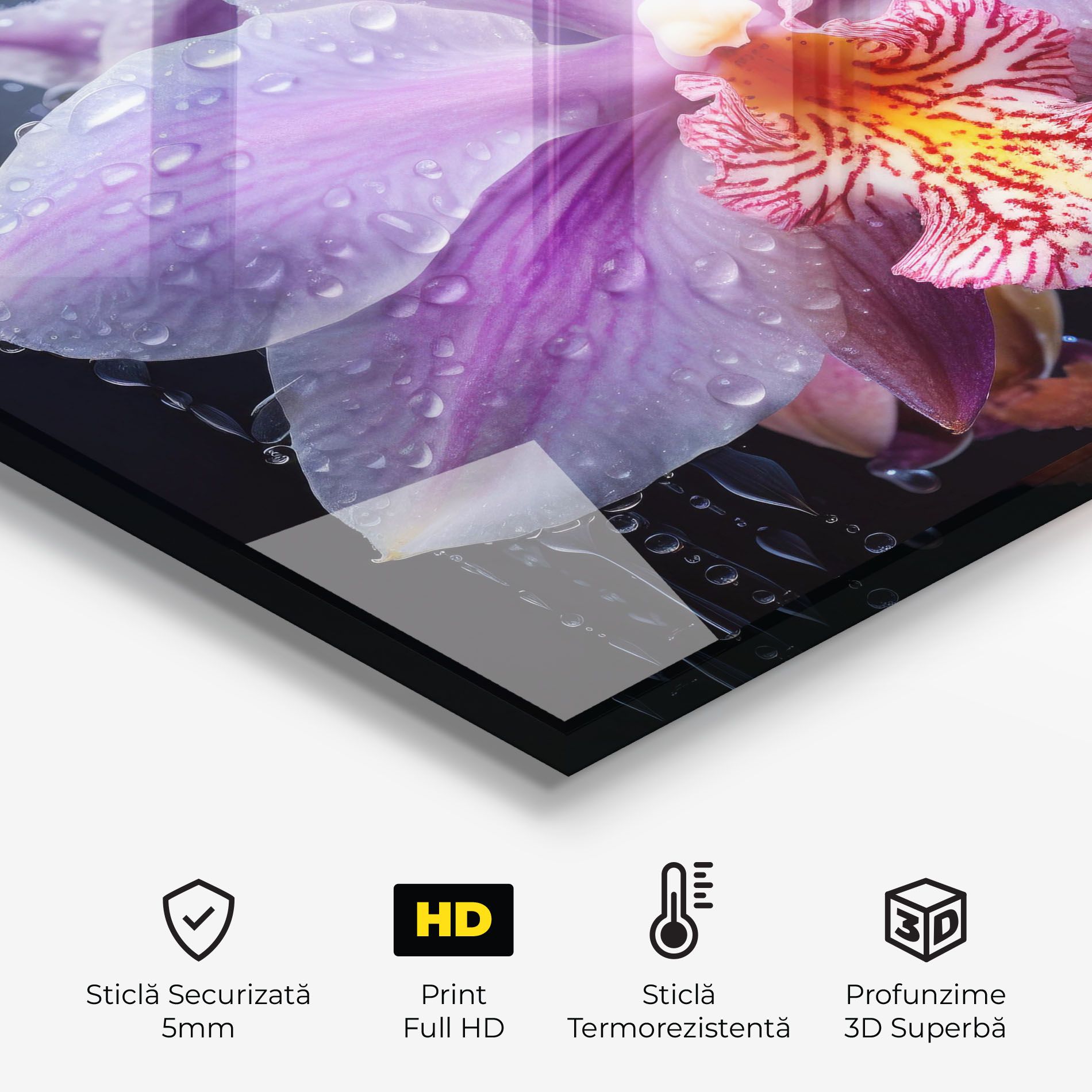 Orchid In Rain mockup 2