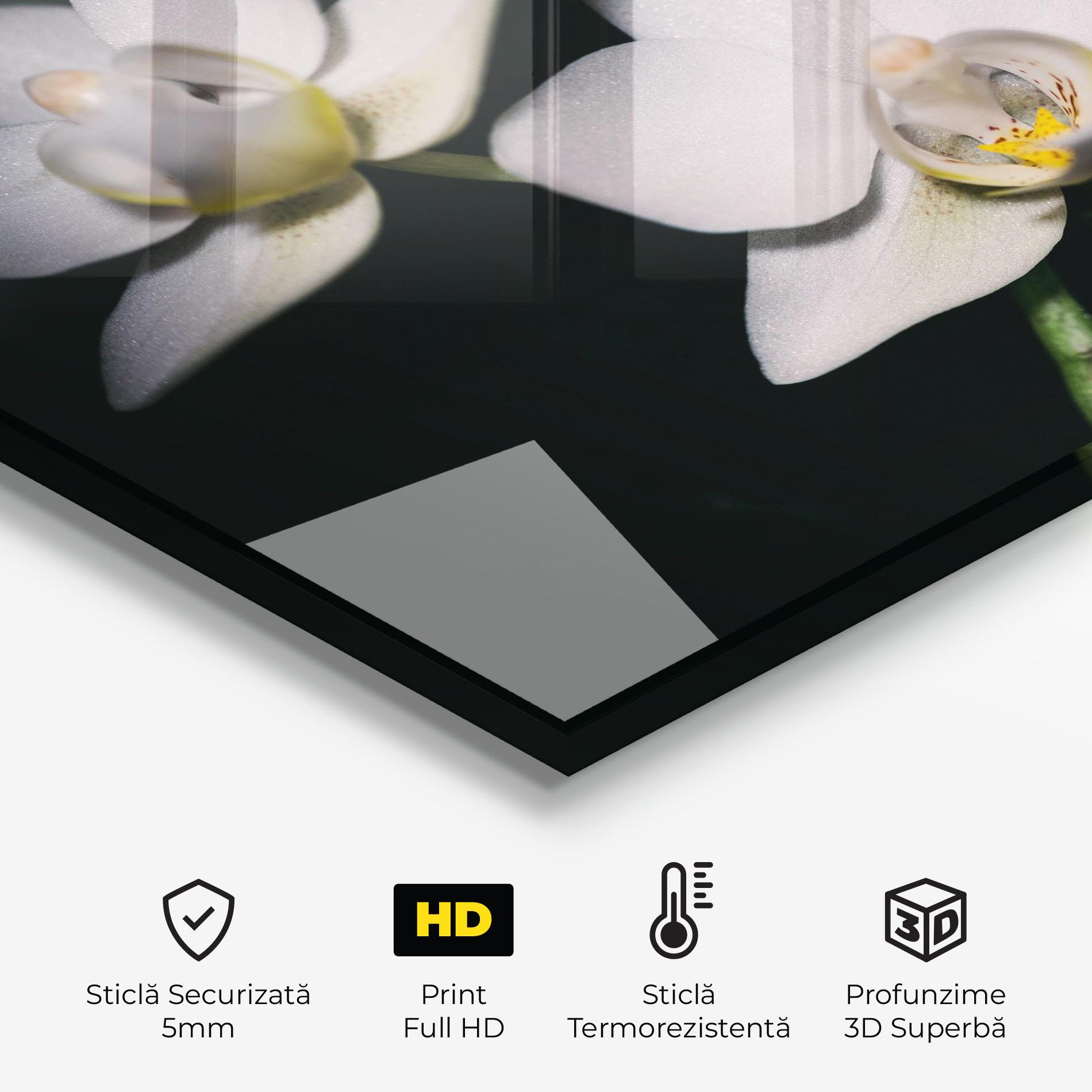 Panou Sticla Bucatarie Orchids On Black mockup 2