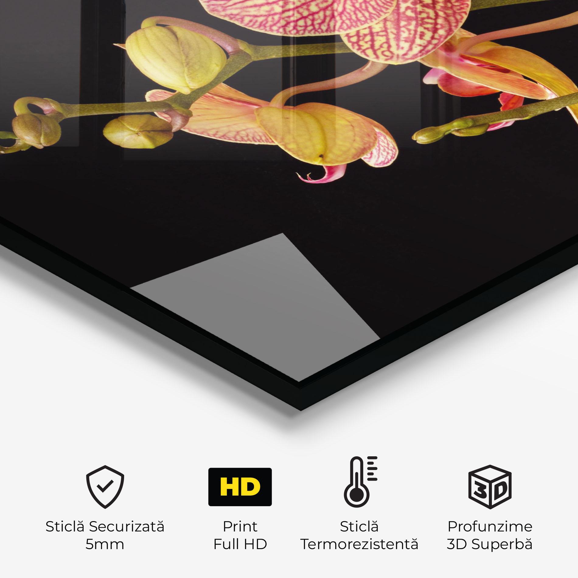 Panou Sticla Bucatarie Pink Orchids On Black mockup 2