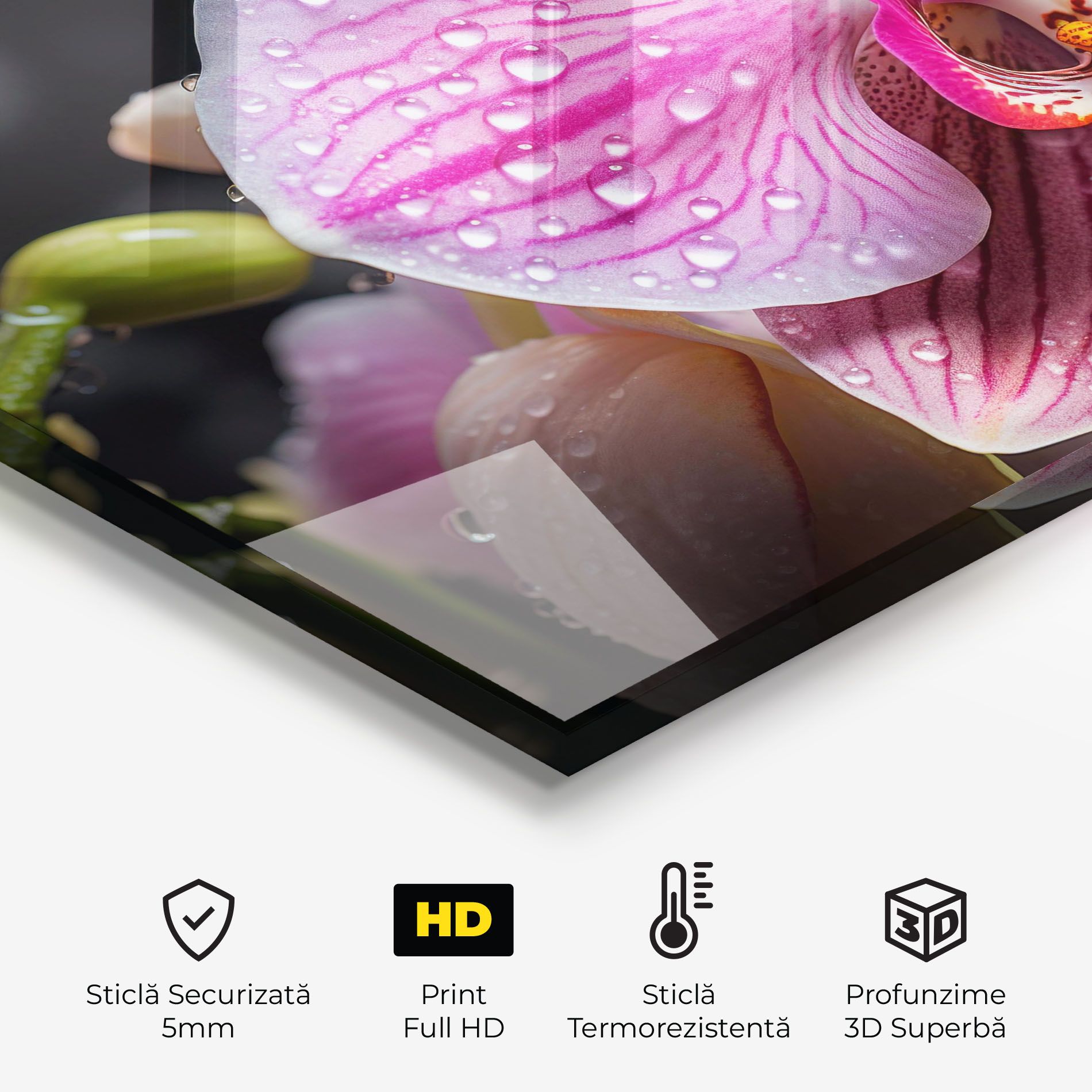 Pretty Orchid After Rain mockup 2