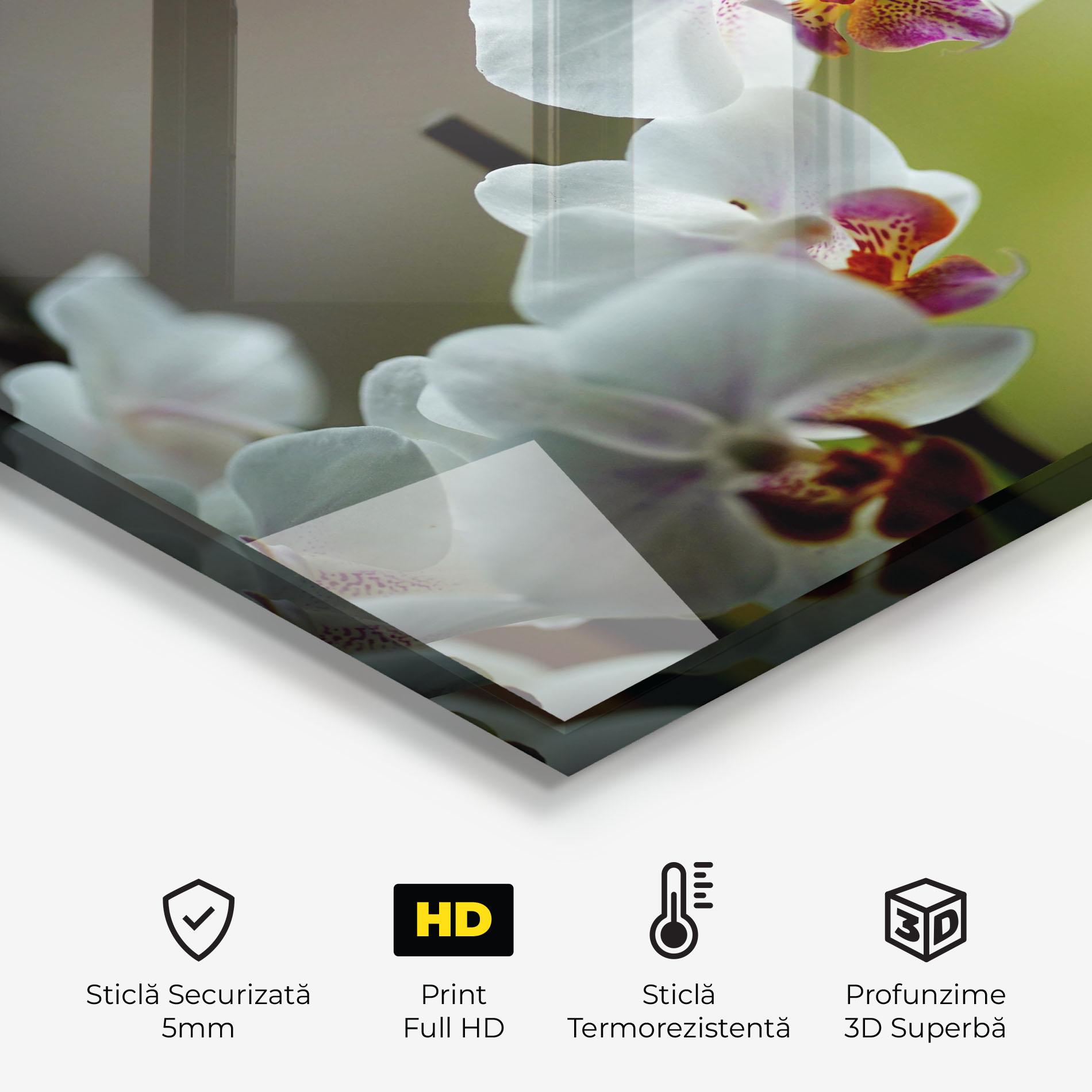 Panou Sticla Bucatarie Pretty Orchid In Nature mockup 2