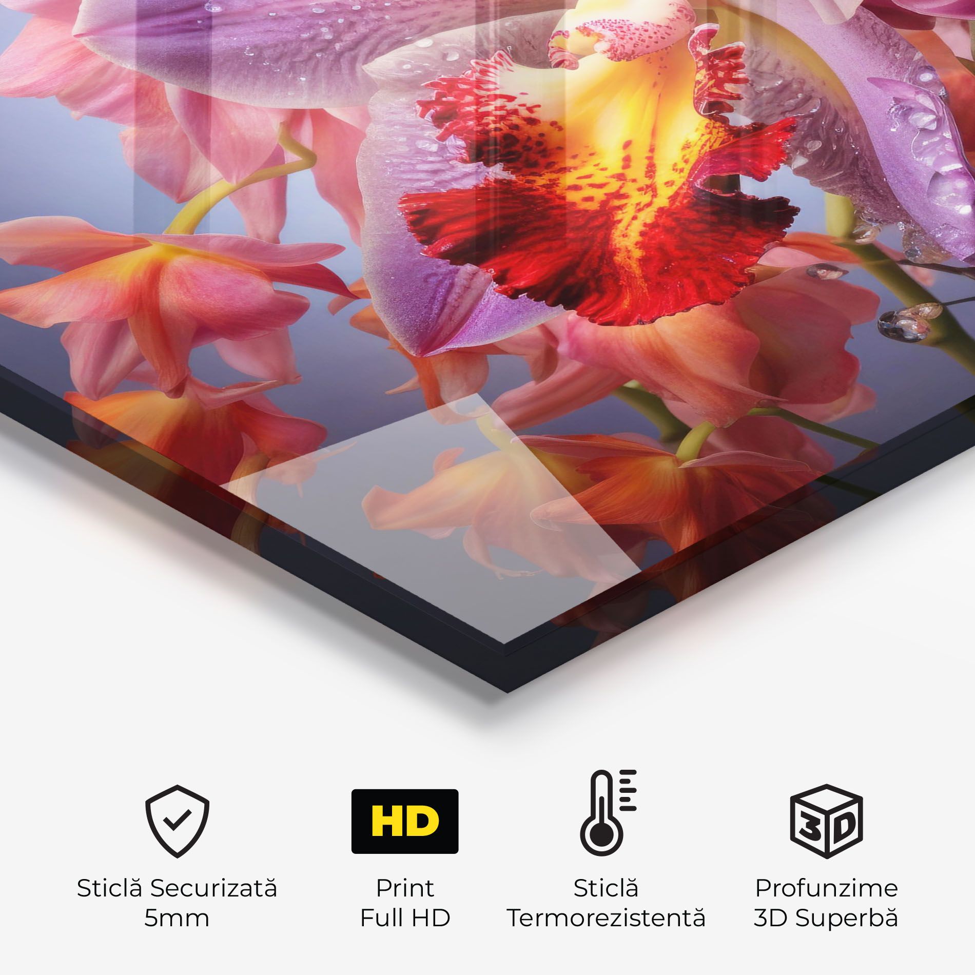 Purple Orange Orchid View mockup 2