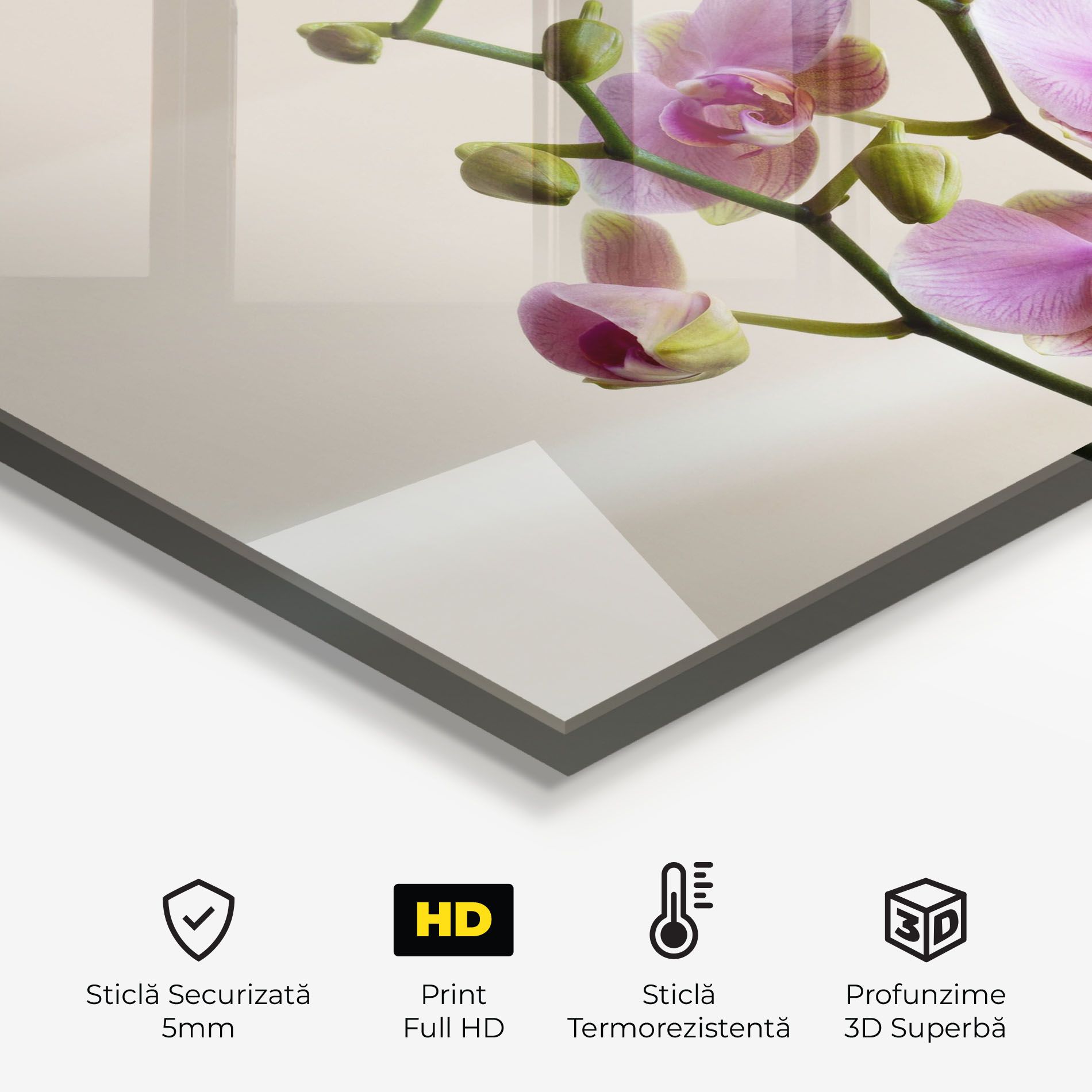 Purple Orchid On Cream mockup 2