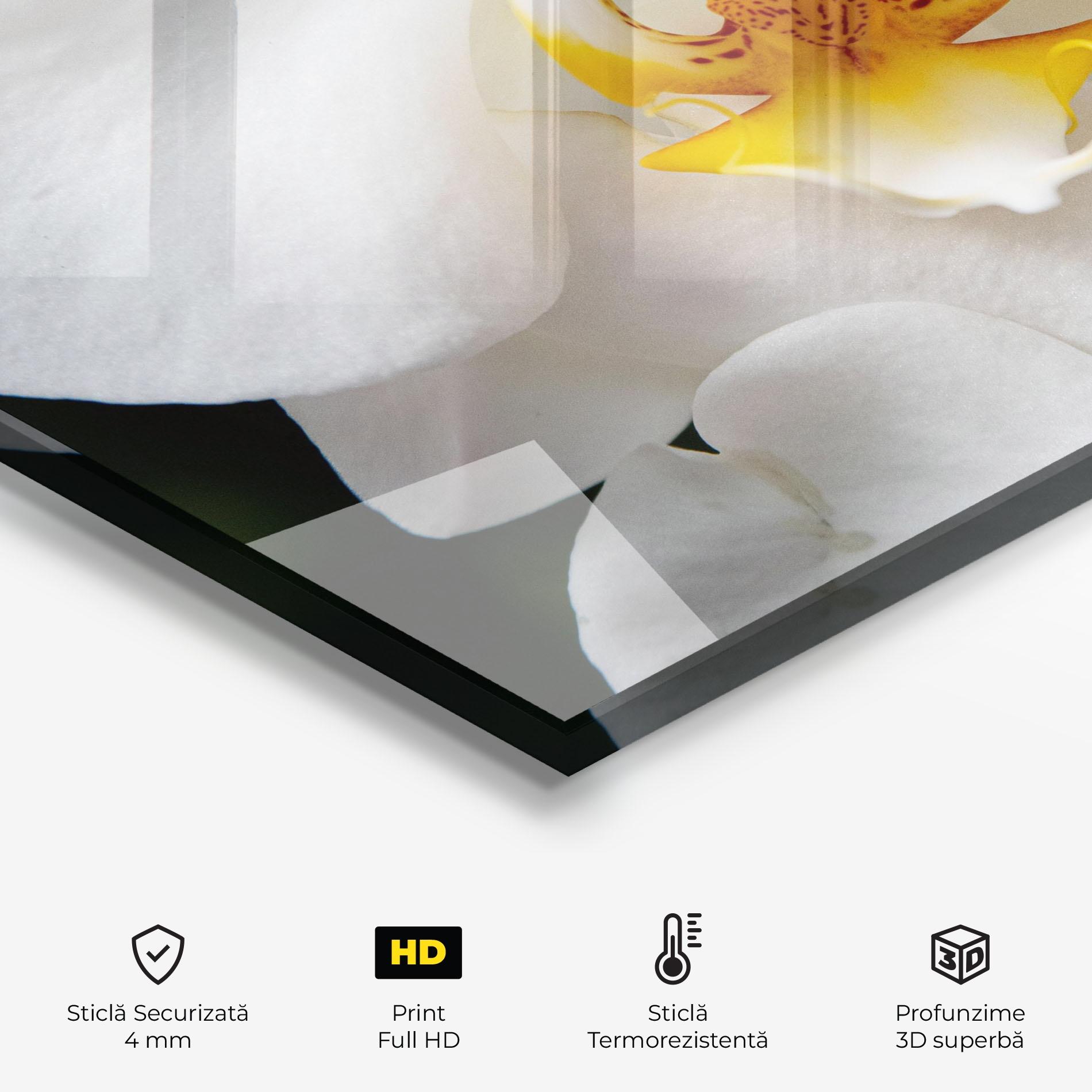 Panou Sticla Bucatarie Big Orchid Close Up mockup 2