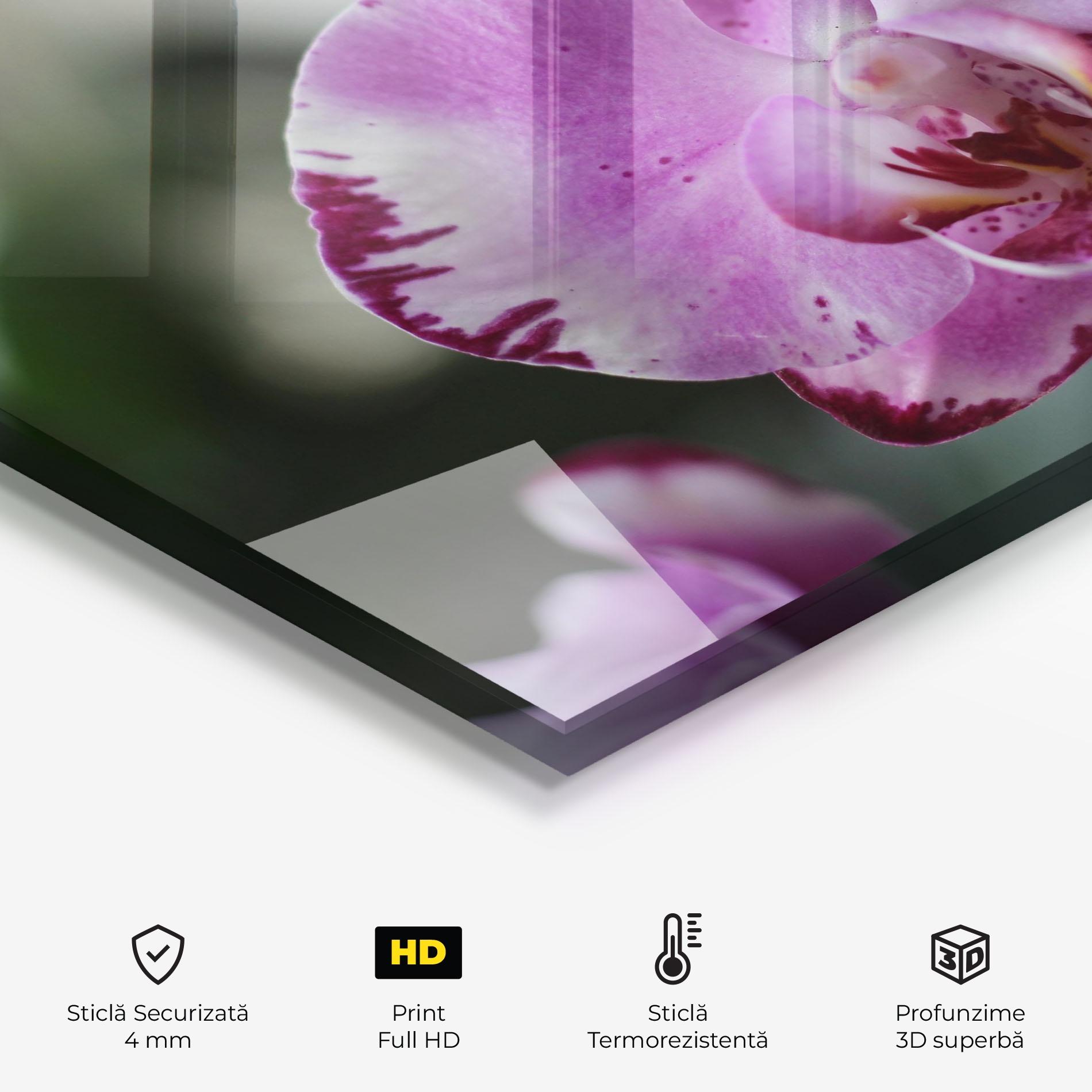 Panou Sticla Bucatarie Dark Purple Orchids In Nature mockup 2