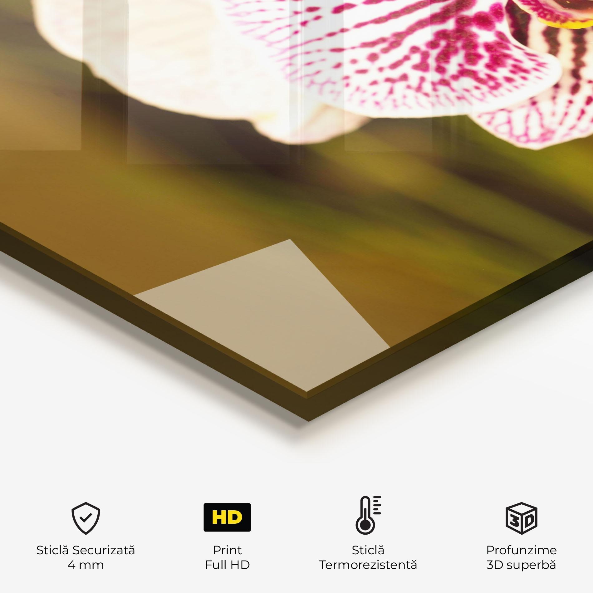 Panou Sticla Bucatarie Garden Orchids mockup 2