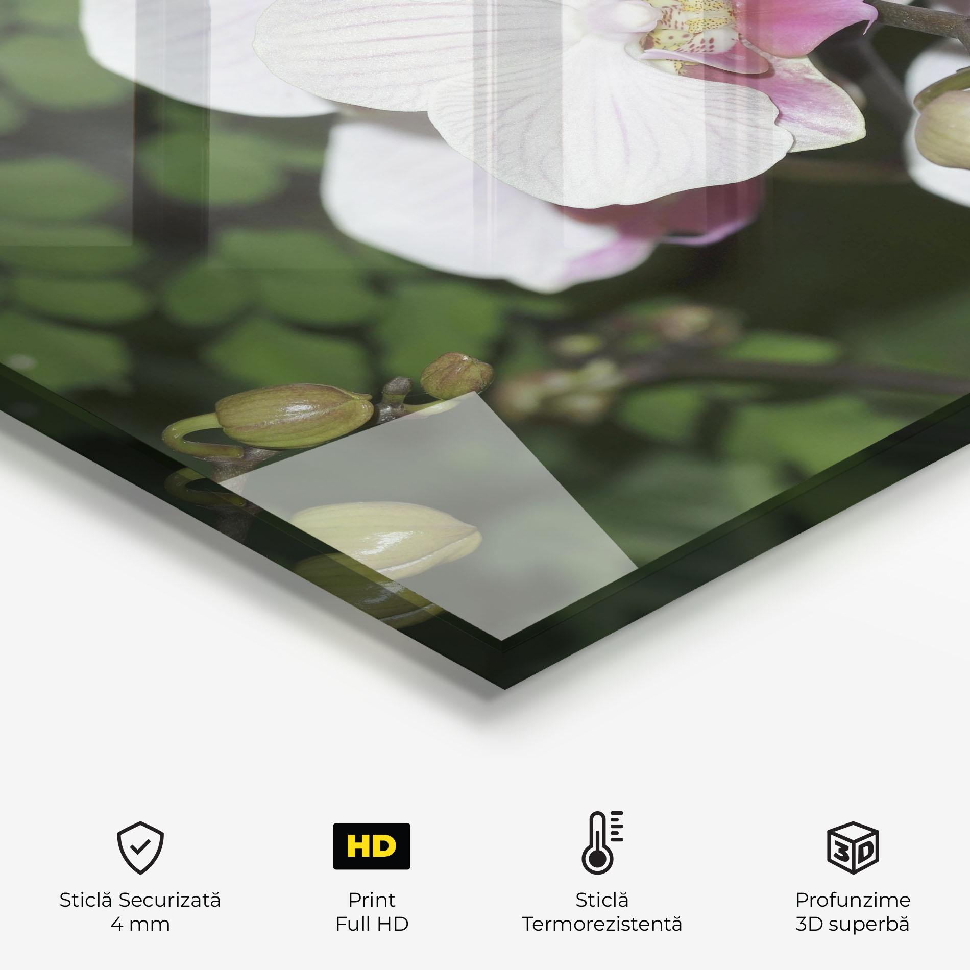 Panou Sticla Bucatarie Orchid Botanical Garden mockup 2