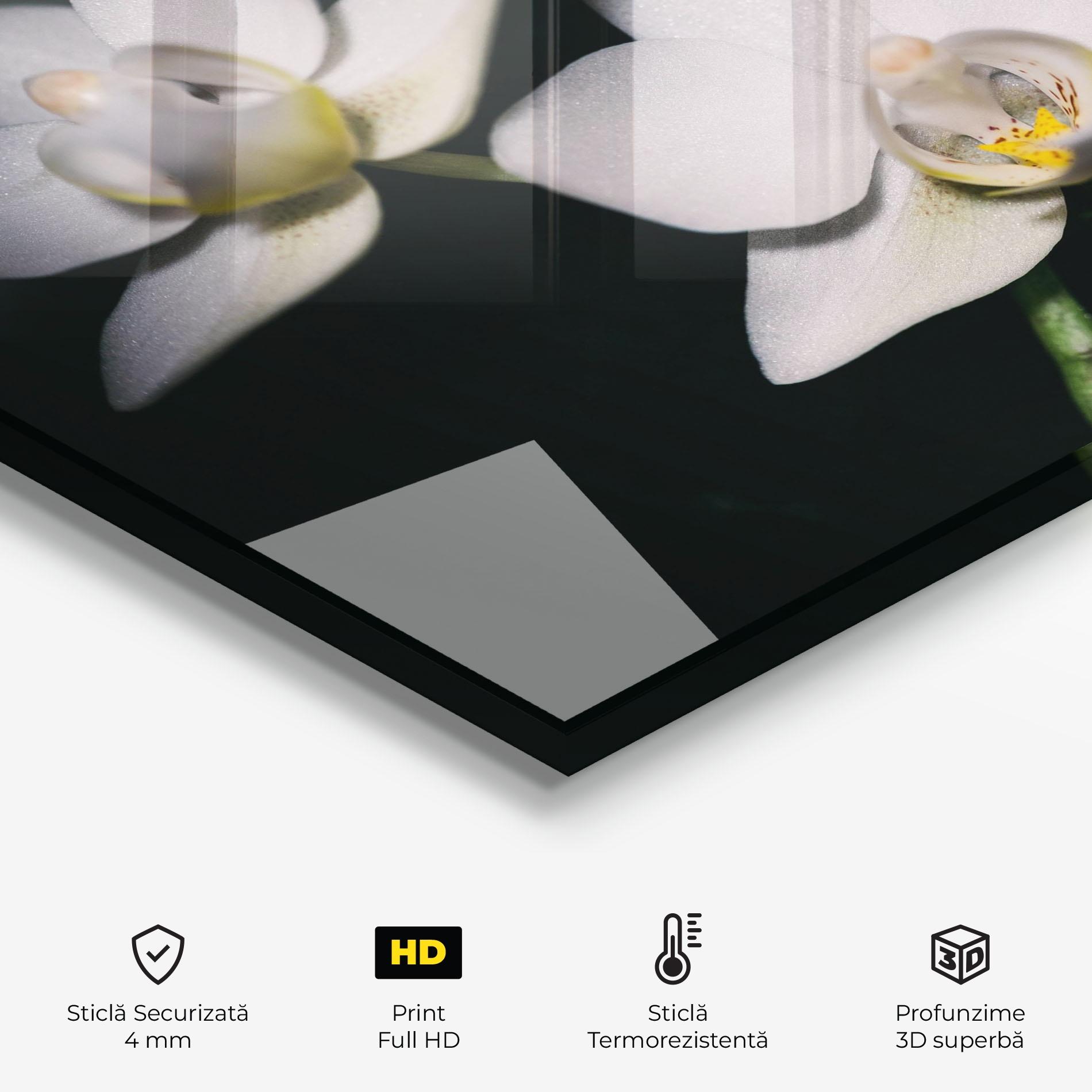 Panou Sticla Bucatarie Orchids On Black mockup 2