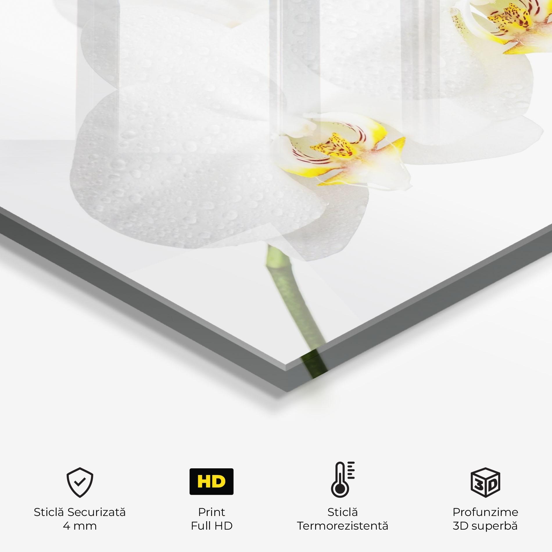 Panou Sticla Bucatarie Orchids On White mockup 2