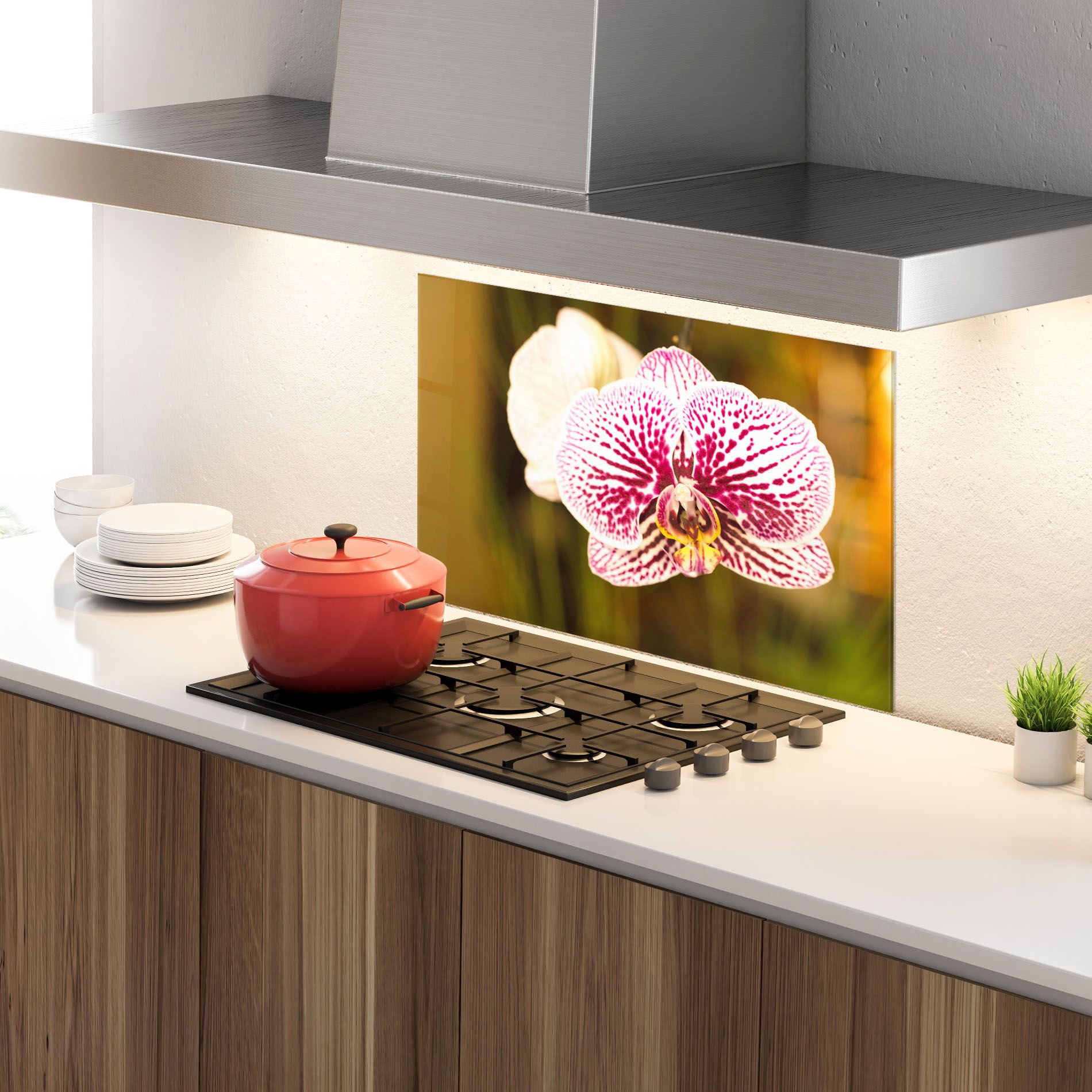 Garden Orchids mockup 4