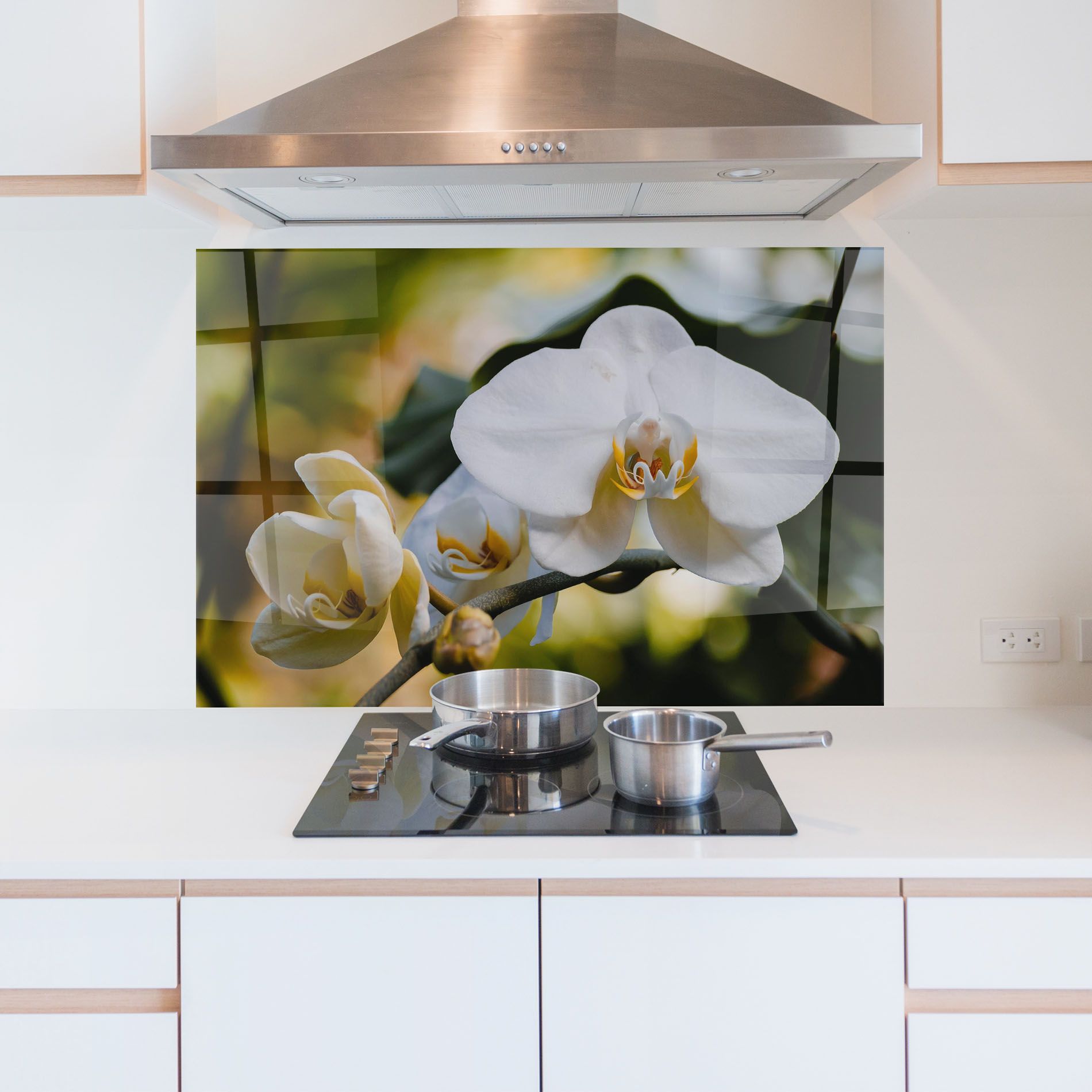 Cream Orchid In Nature mockup 5