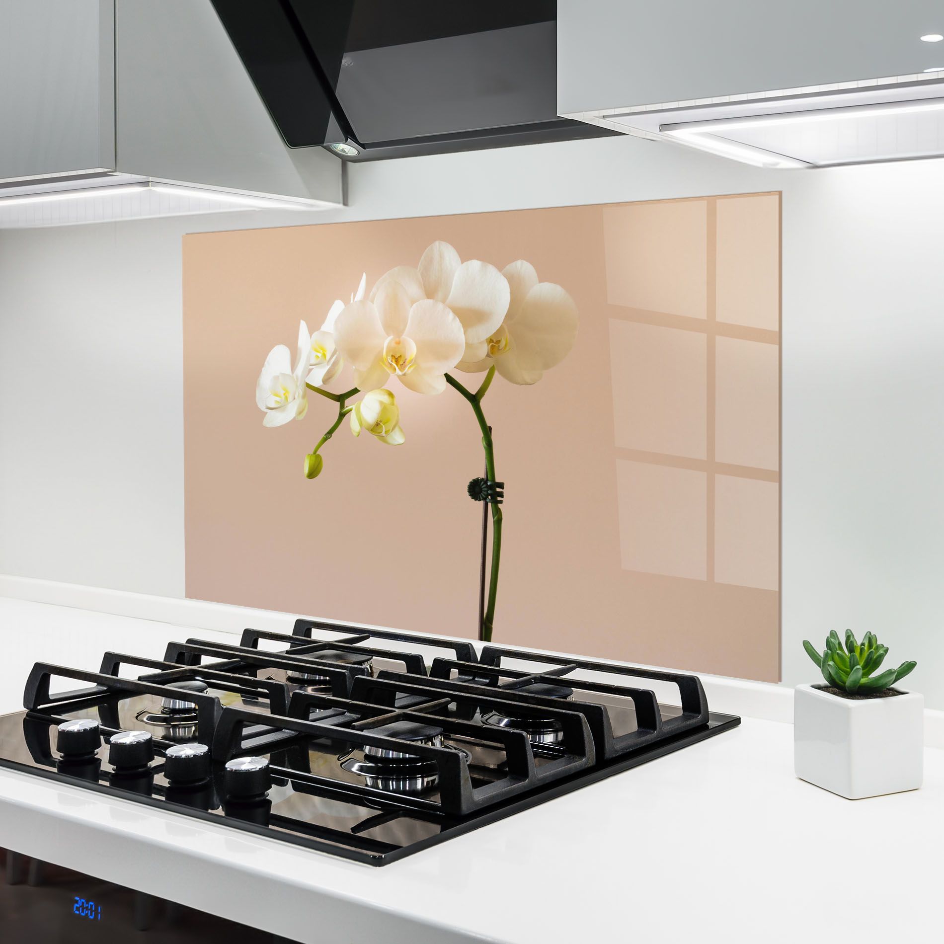 Cream Orchid On Pink mockup 6