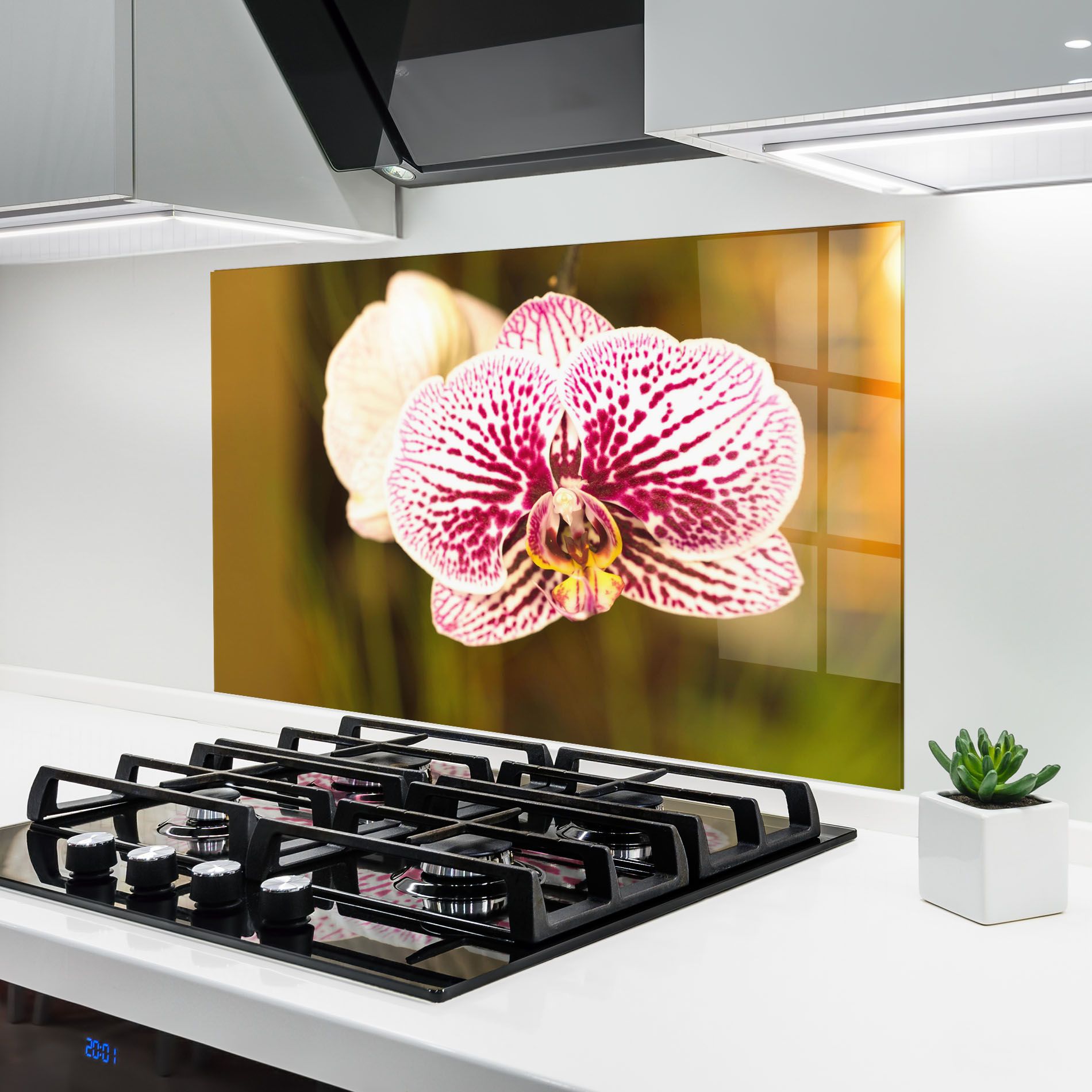 Garden Orchids mockup 6