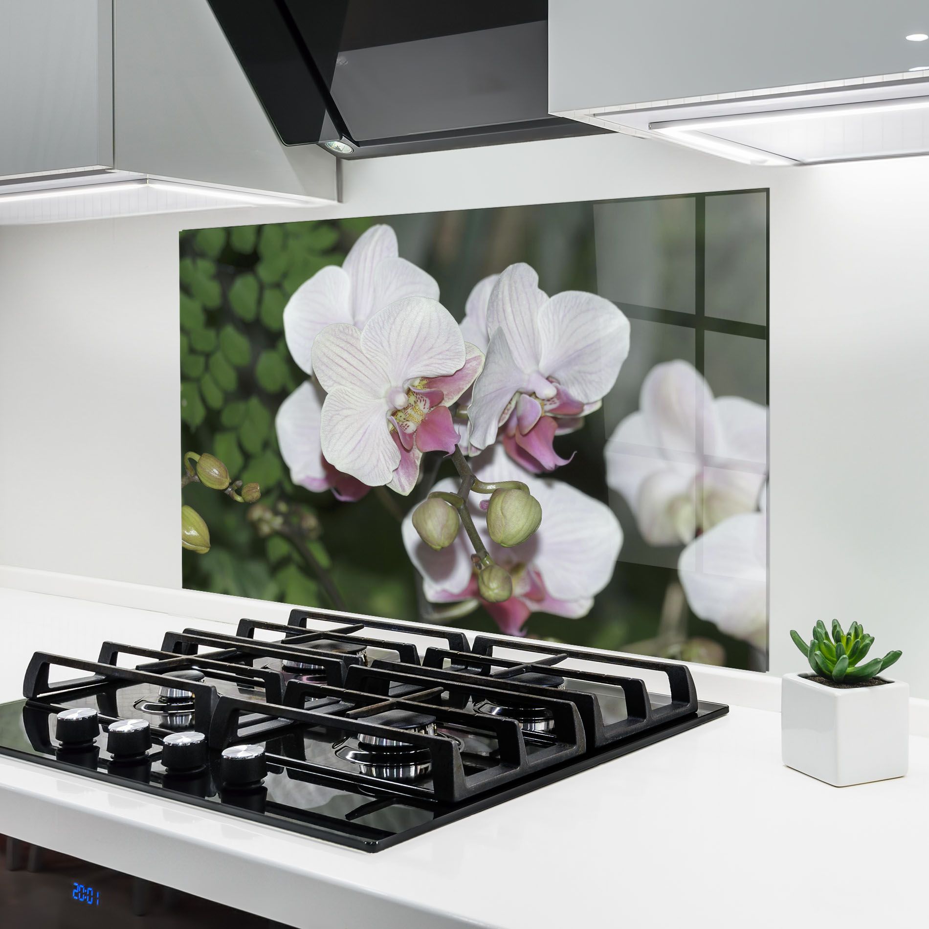 Orchid Botanical Garden mockup 6