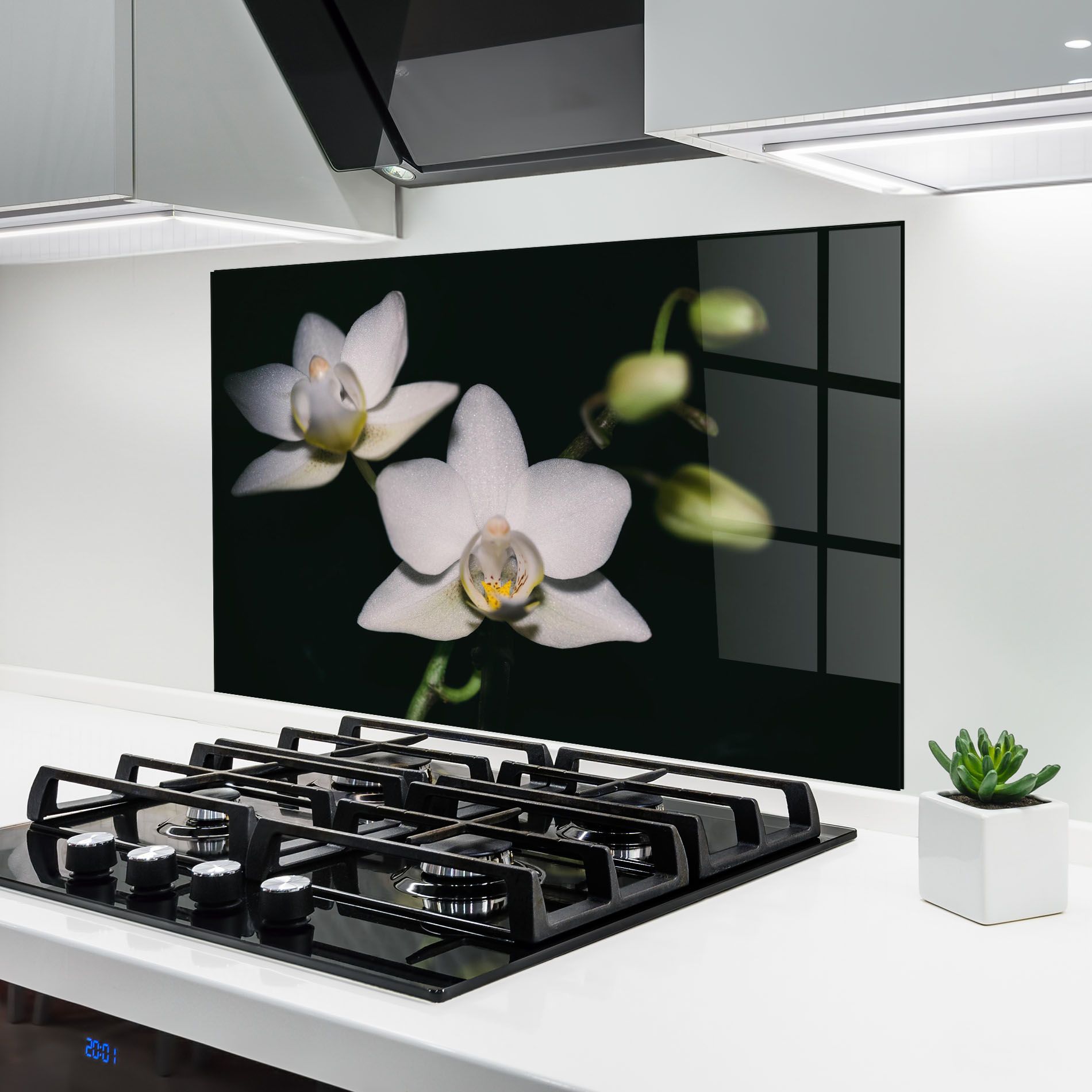 Orchids On Black mockup 6