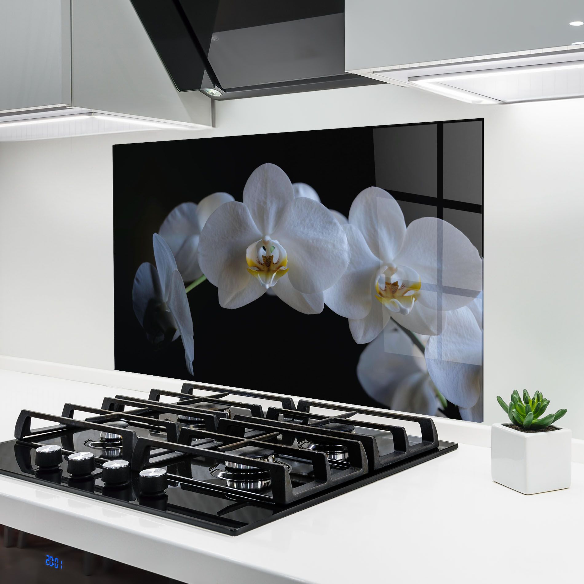 White Ochid In Shadow mockup 6