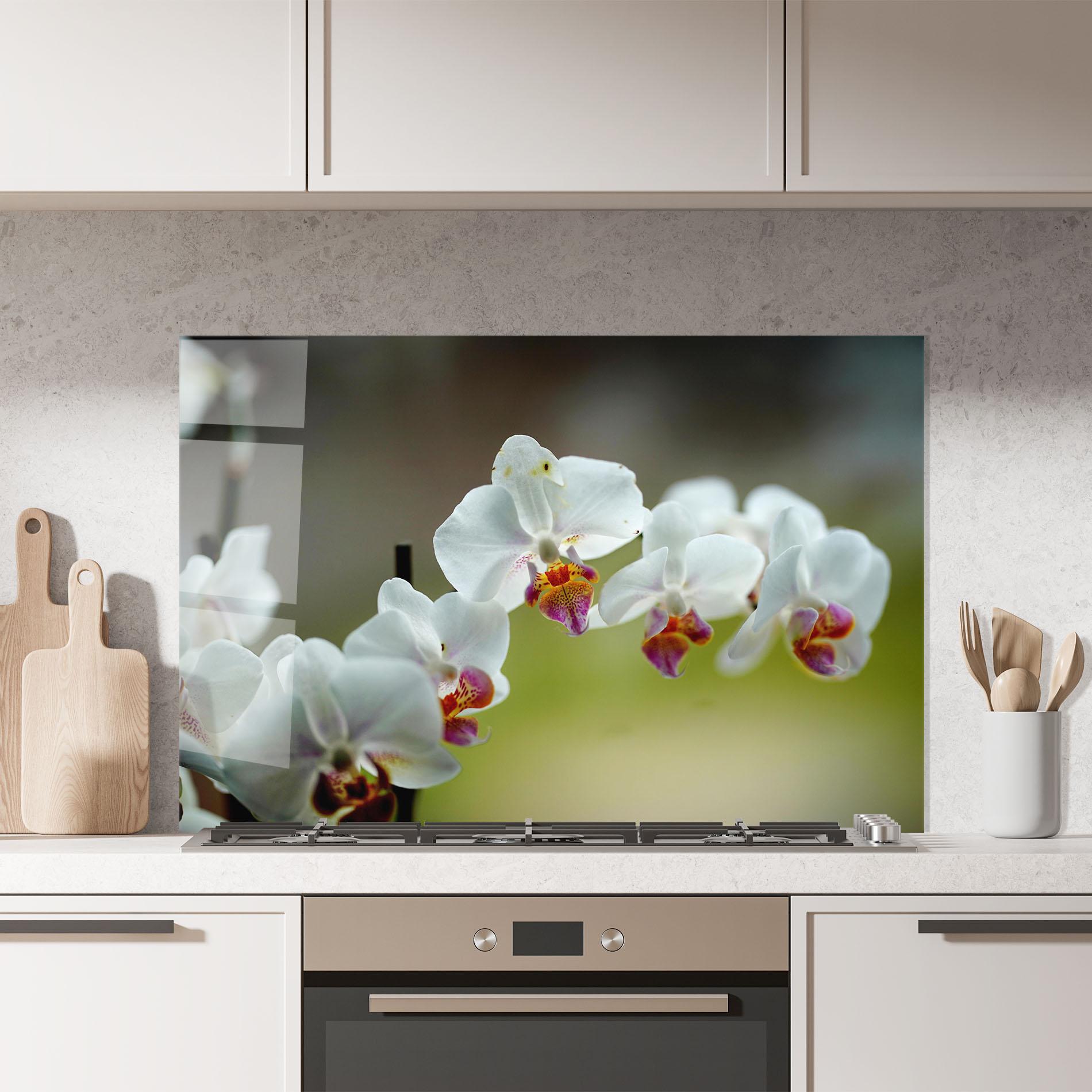 Panou Sticla Bucatarie Pretty Orchid In Nature mockup 7