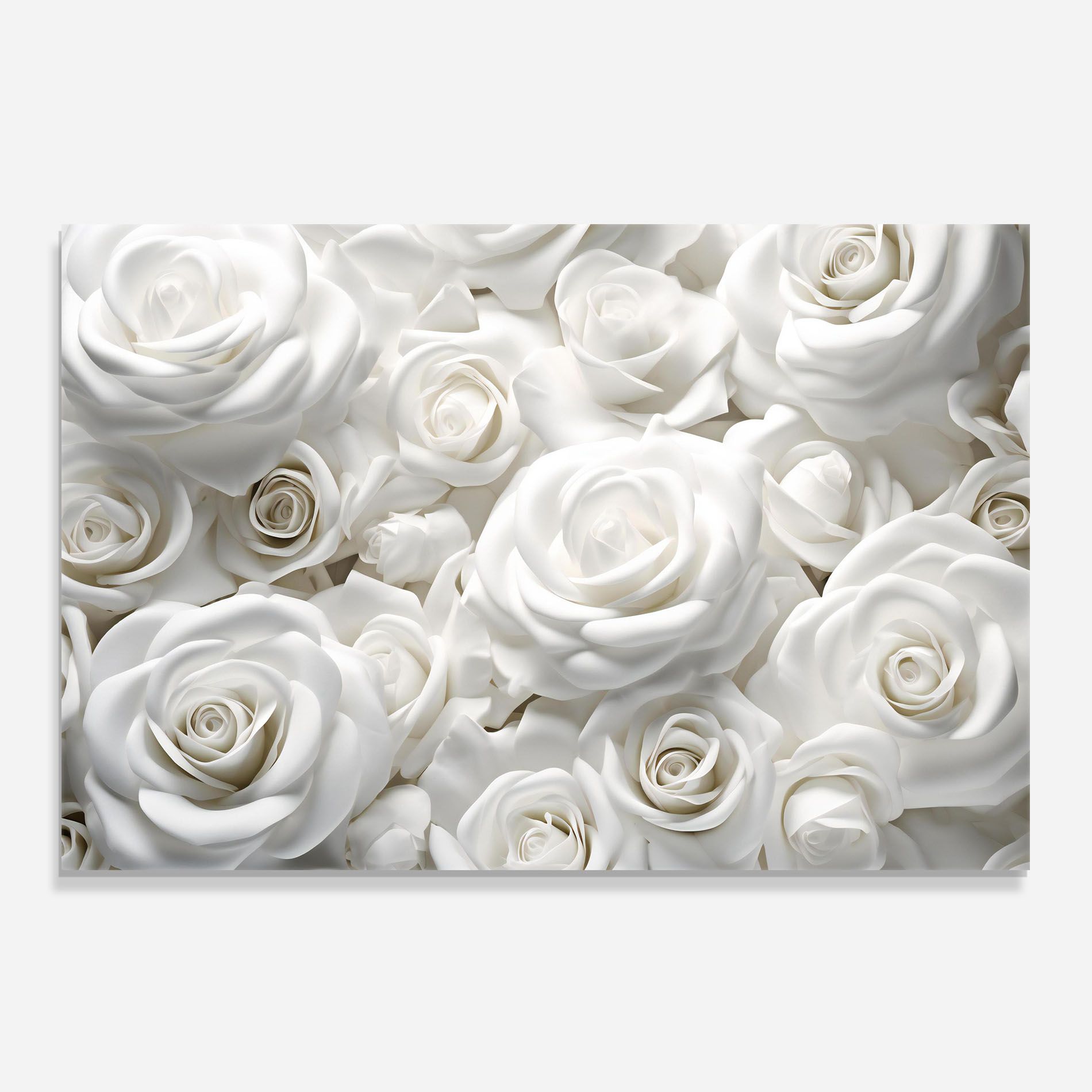 3d White Roses mockup 0