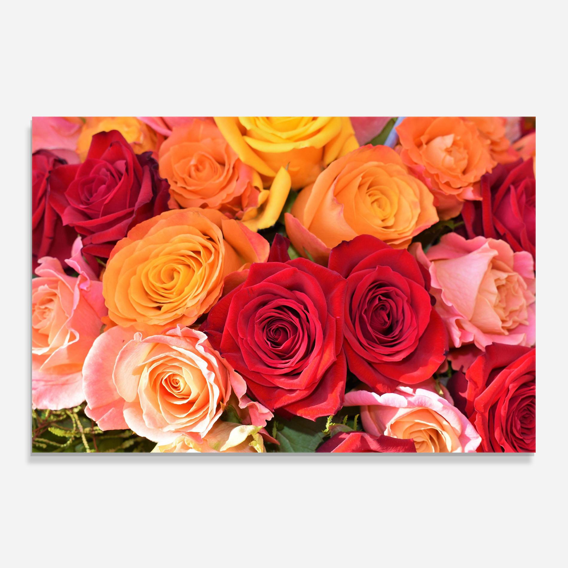 Panou Sticla Bucatarie Mixed Roses mockup 0