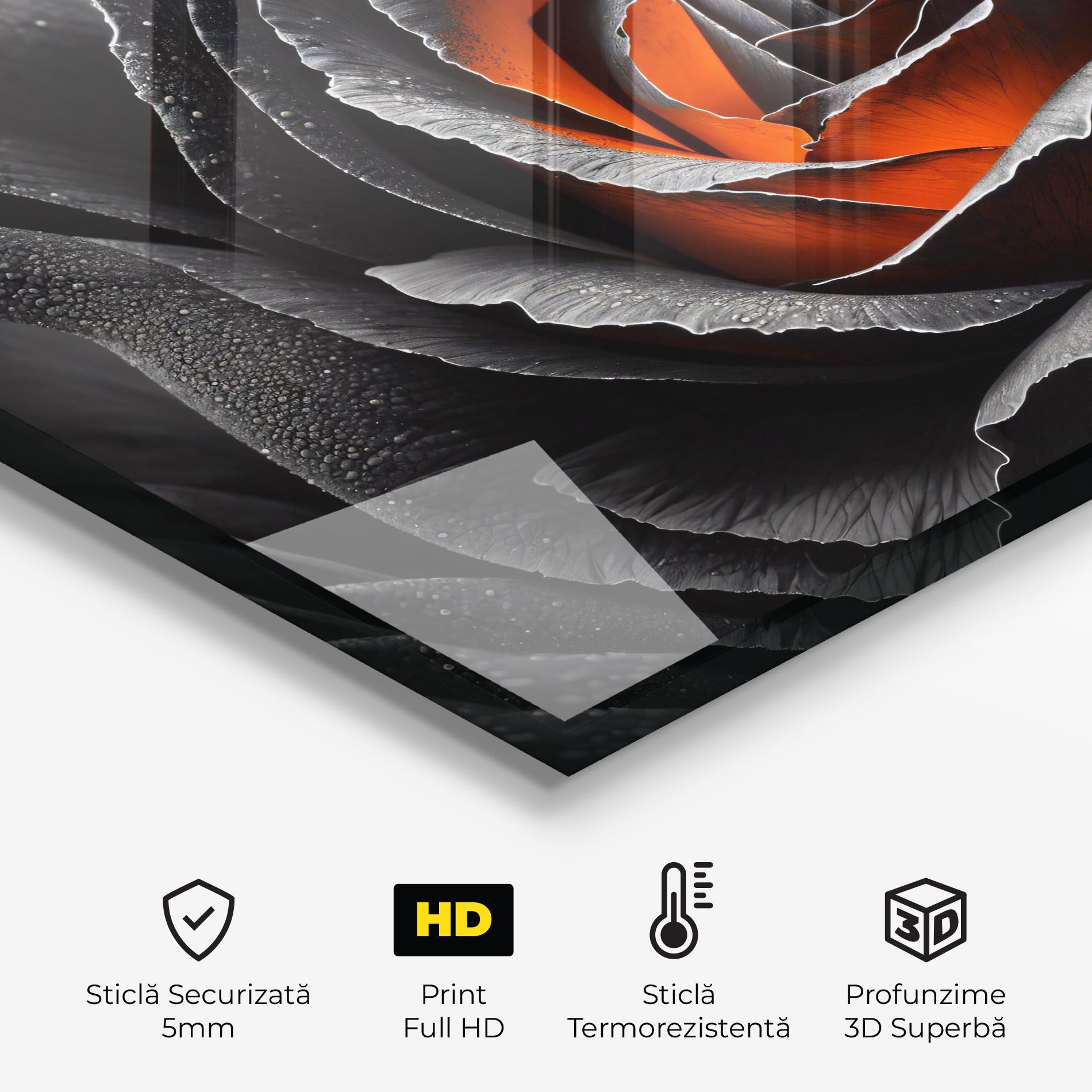 Grey Orange Rose mockup 2