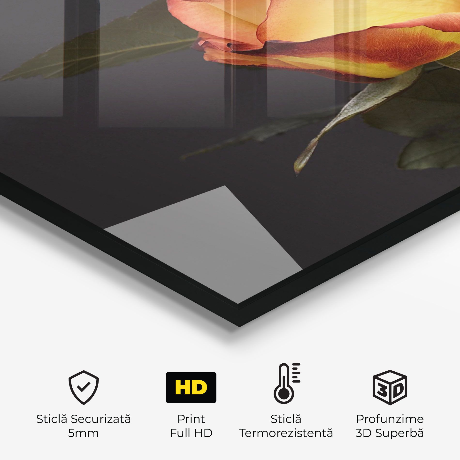 Orange Rose mockup 2