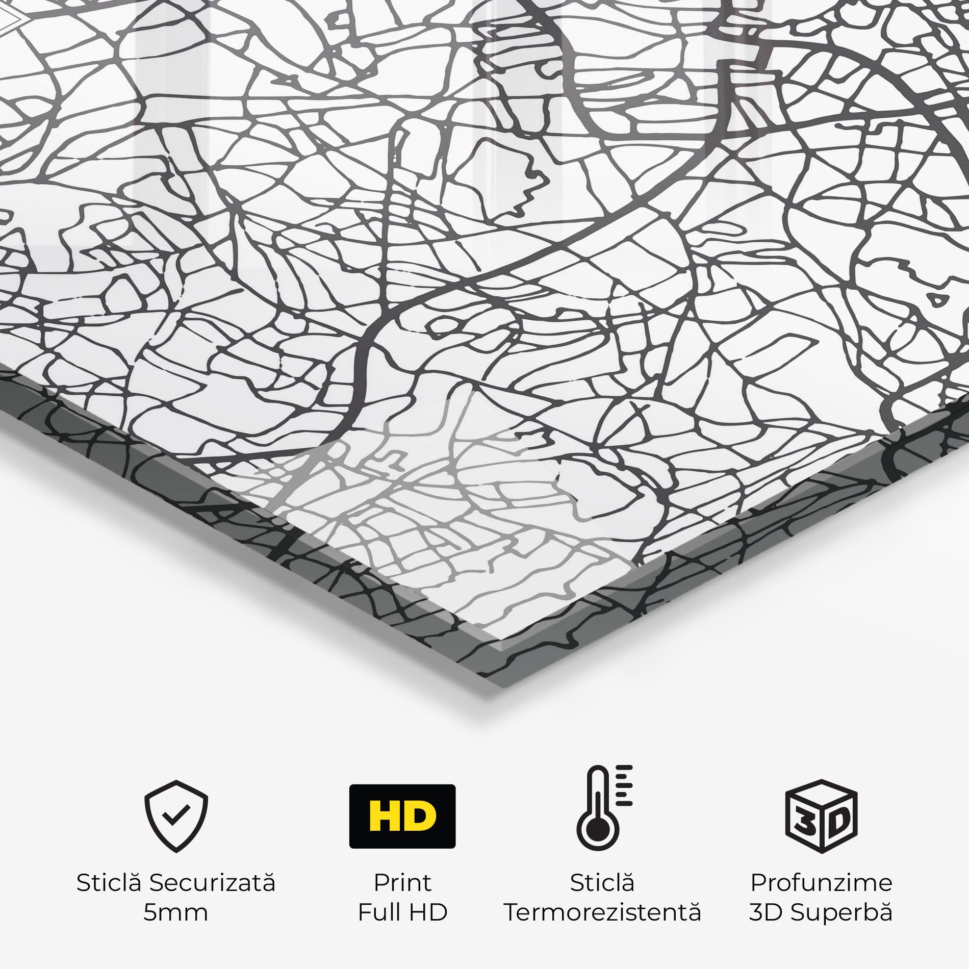 Panou Sticla Bucatarie Birmingham Map mockup 2