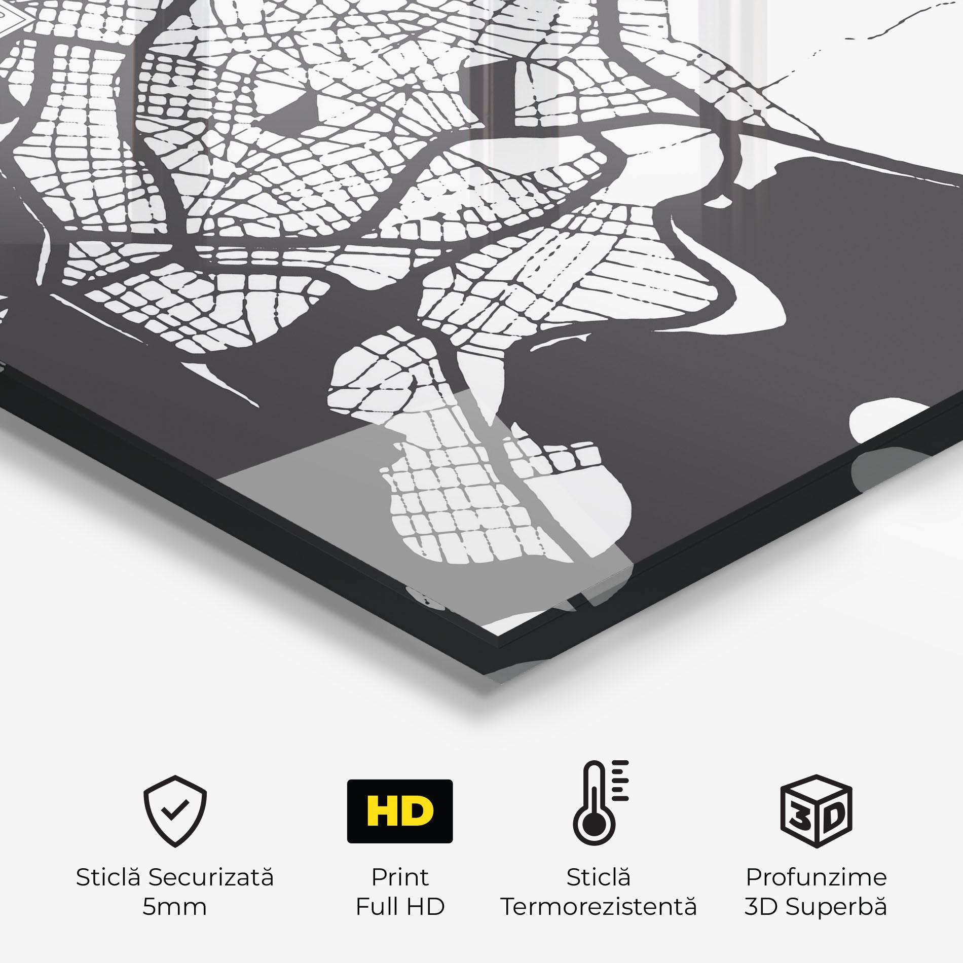 Panou Sticla Bucatarie Chalcis Map mockup 2