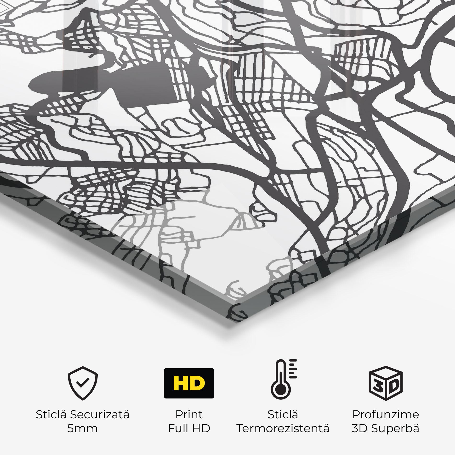Panou Sticla Bucatarie Constantine Map mockup 2
