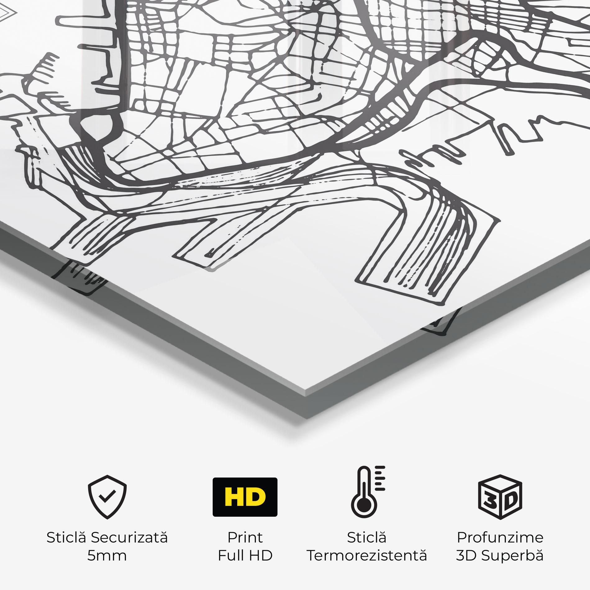 Panou Sticla Bucatarie Trieste Map mockup 2