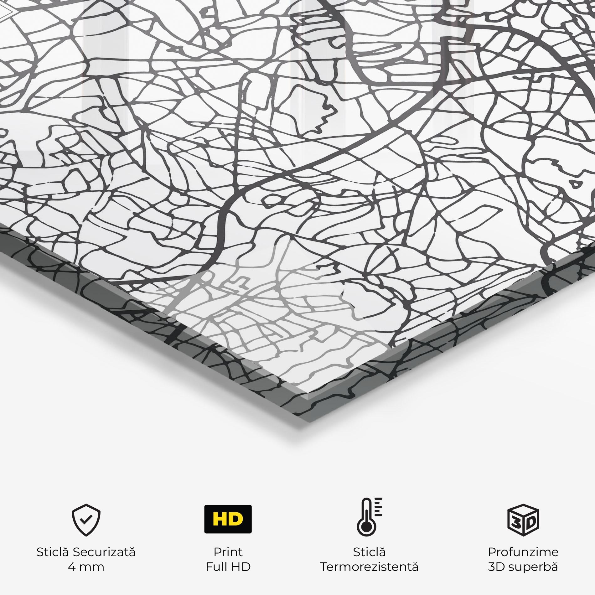 Panou Sticla Bucatarie Birmingham Map mockup 2