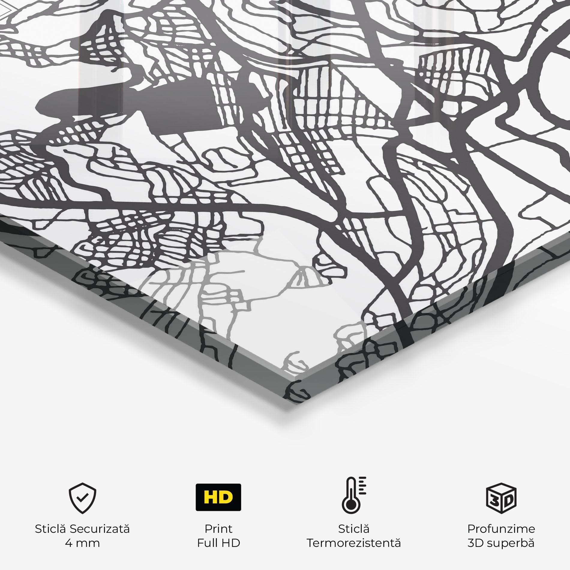 Panou Sticla Bucatarie Constantine Map mockup 2