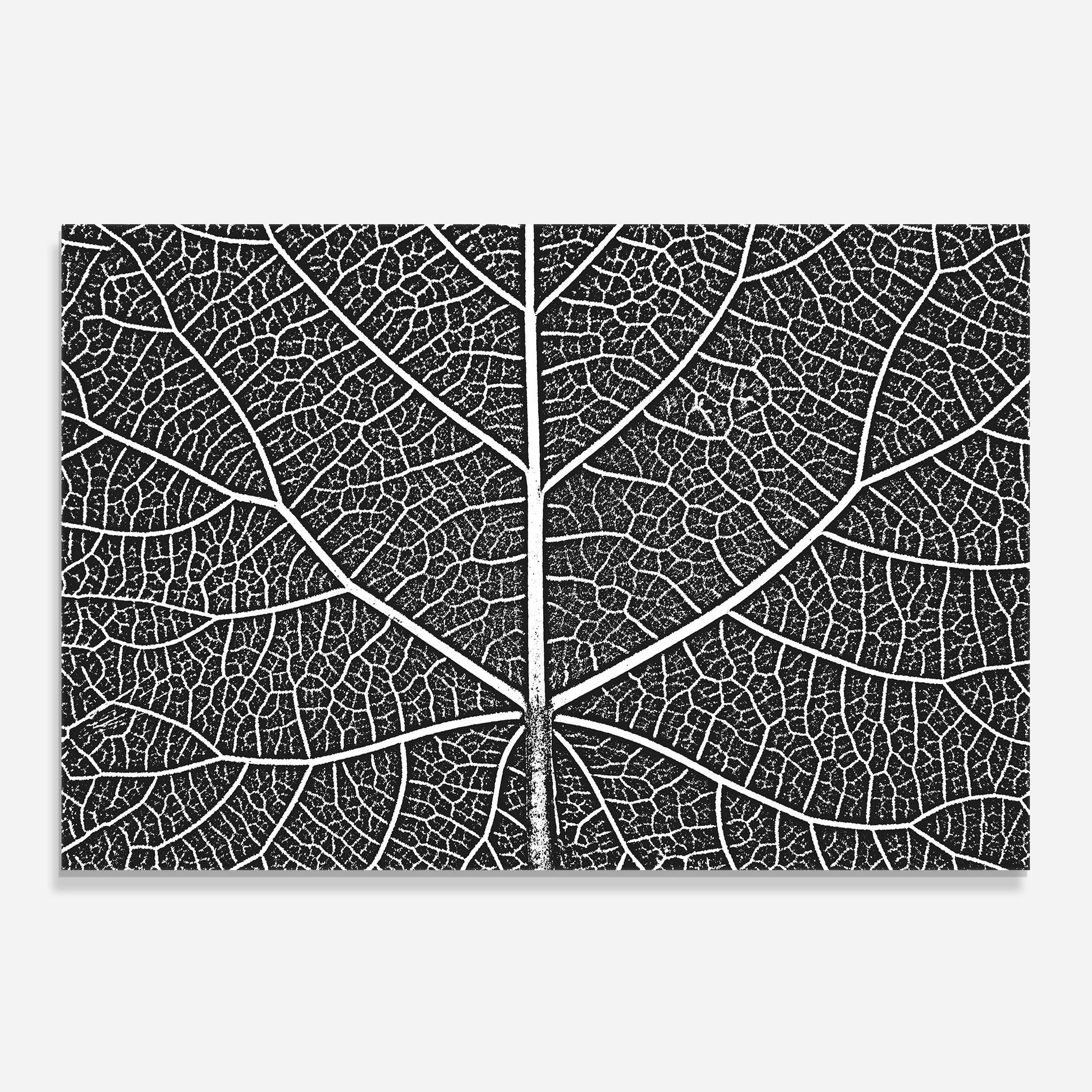 Panou Sticla Bucatarie Close Grey Leaf mockup 0
