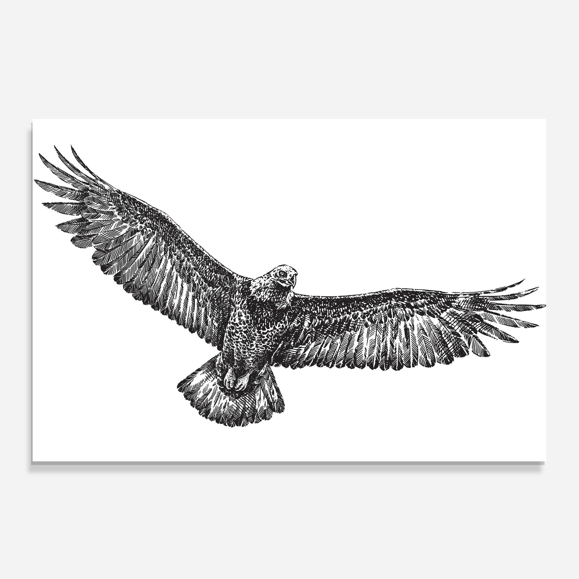 Panou Sticla Bucatarie Eagle Art Line mockup 0