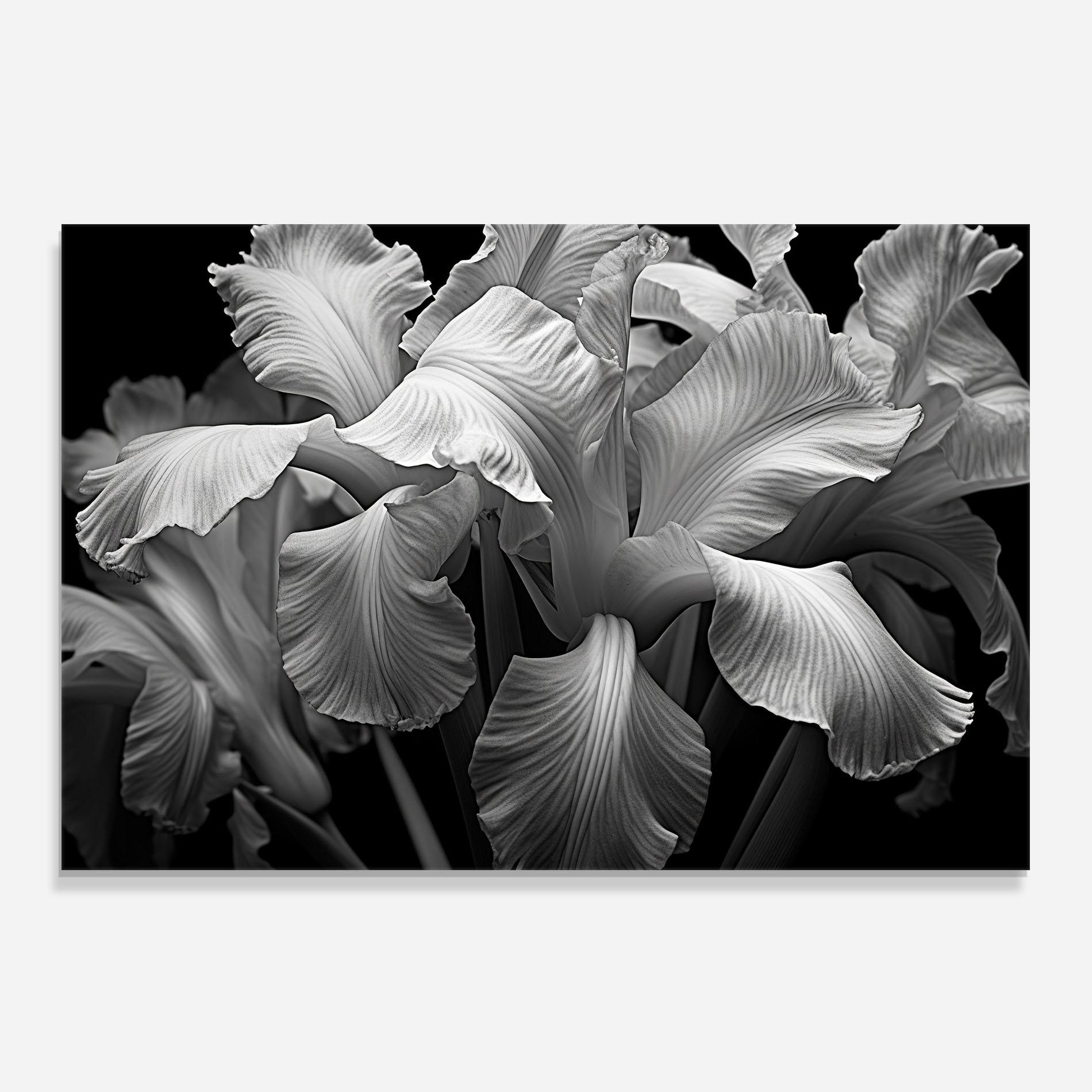 Panou Sticla Bucatarie Grey On Black Iris mockup 0