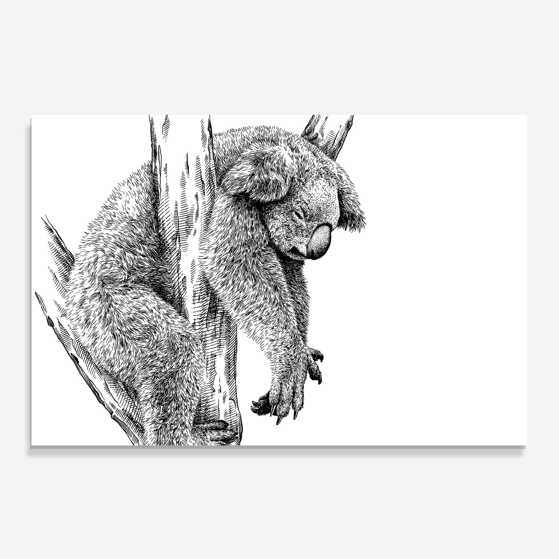 Panou Sticla Bucatarie Koala Sleeping Art mockup 0