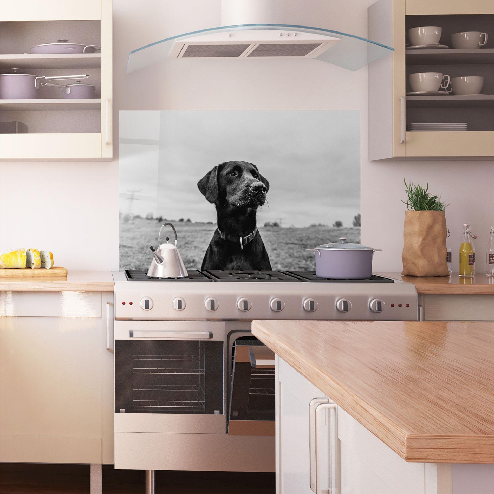Panou Sticla Bucatarie Black Dog mockup 1