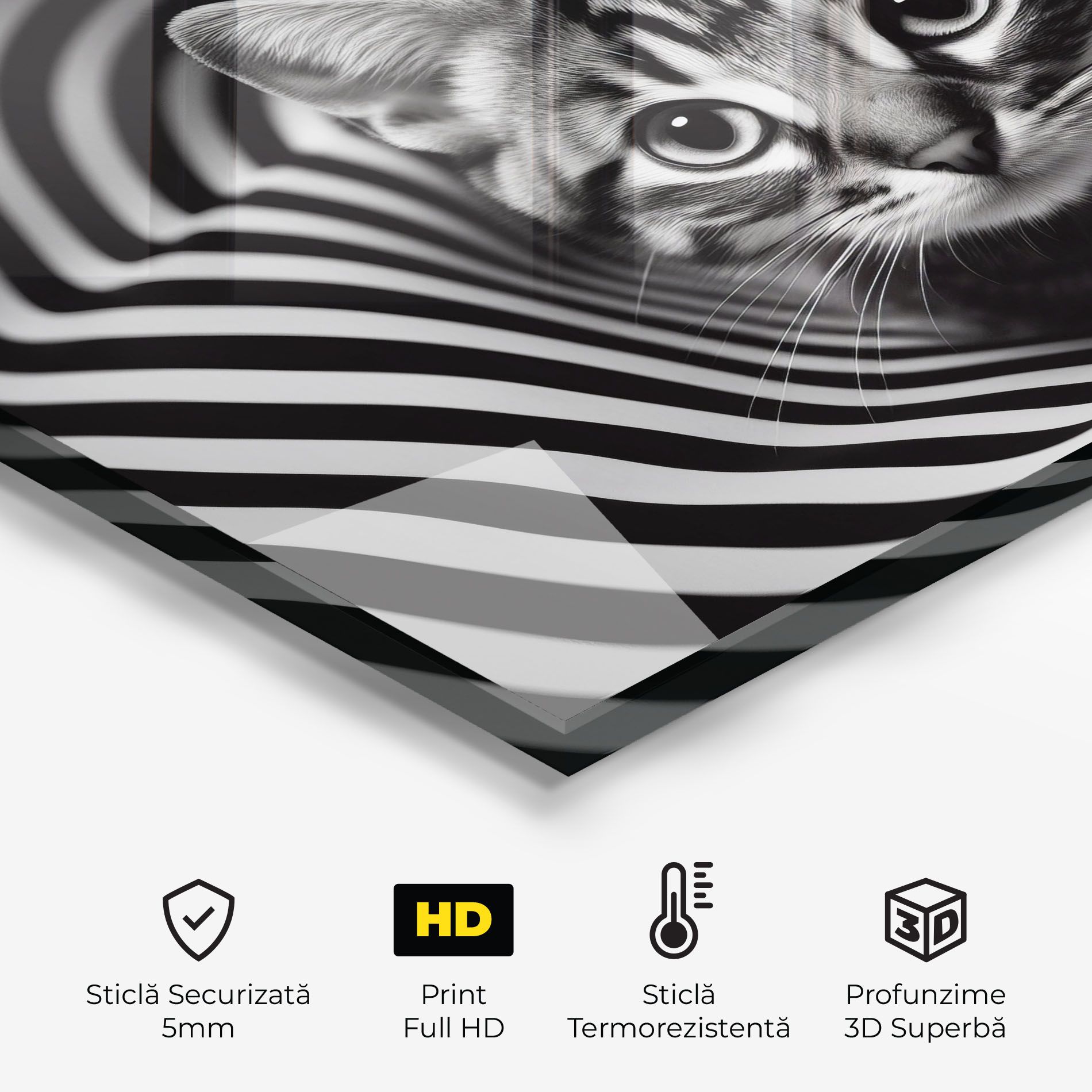 Closeup Cat Portrait mockup 2