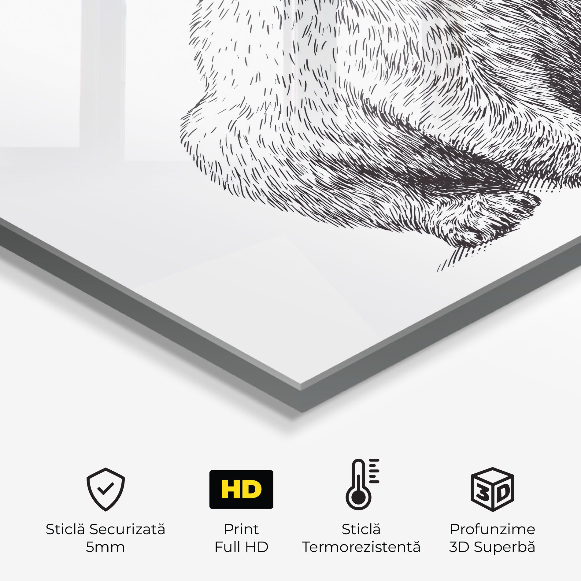 Draw Icebear mockup 2