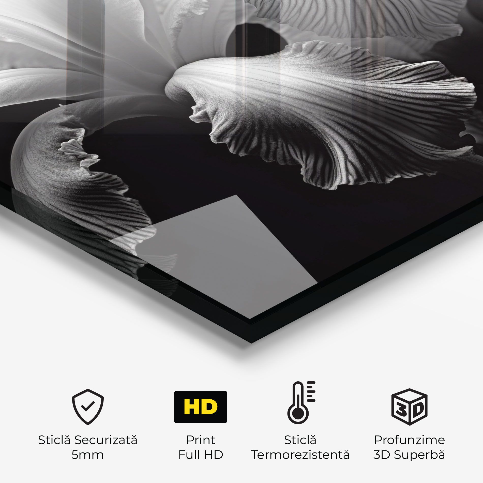 Grey Iris Mix mockup 2