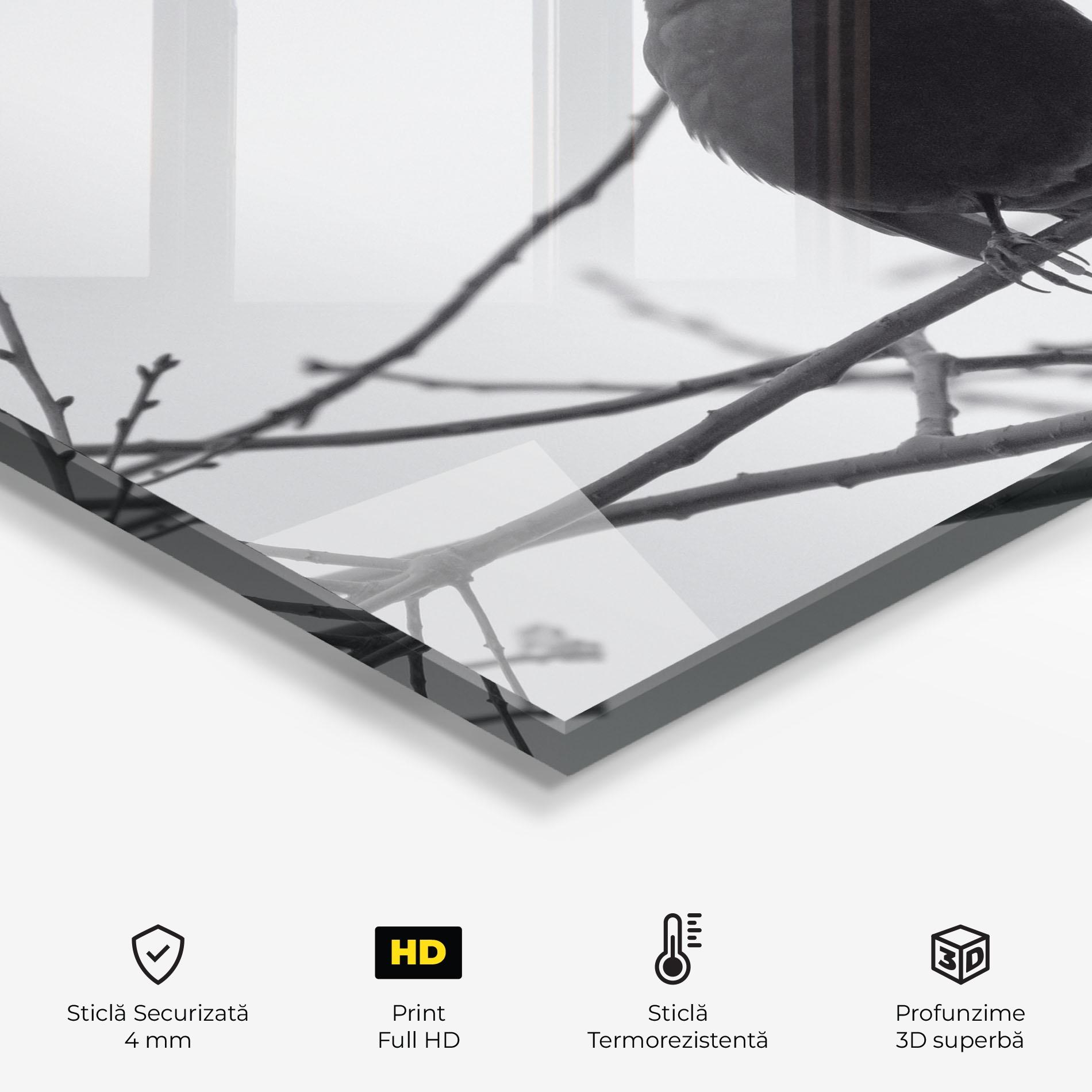Panou Sticla Bucatarie Black Bird mockup 2
