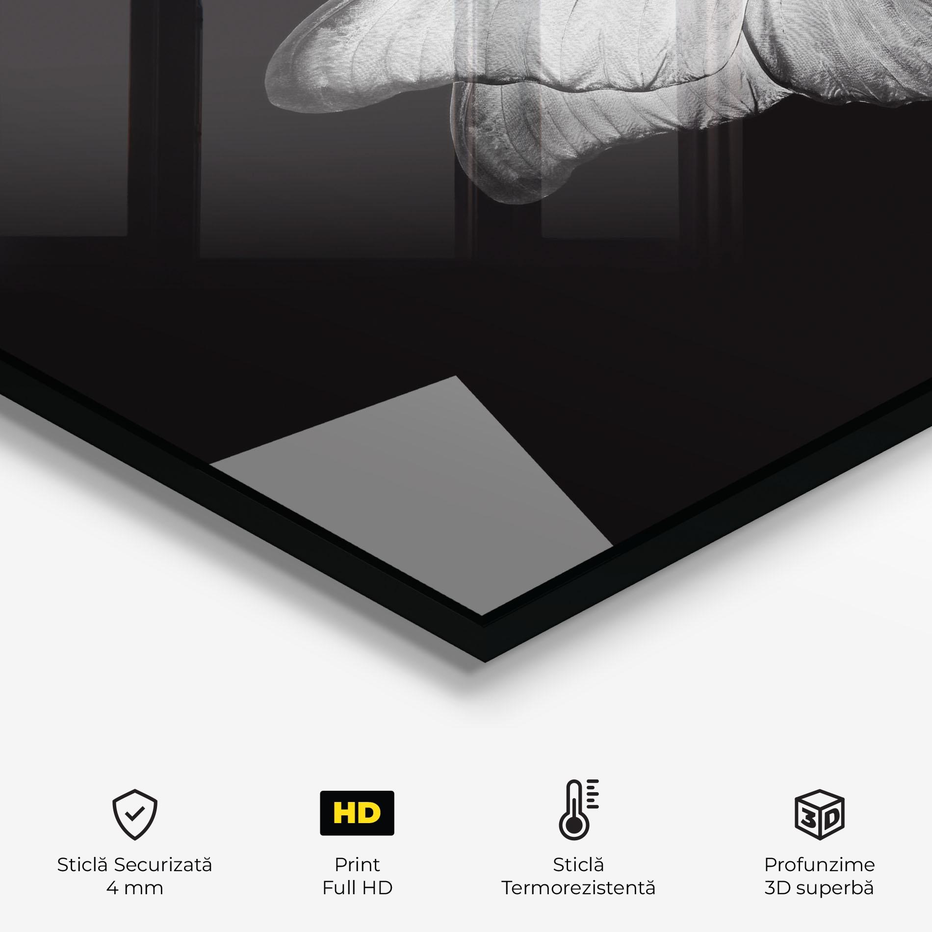 Panou Sticla Bucatarie Grey Butterfly mockup 2